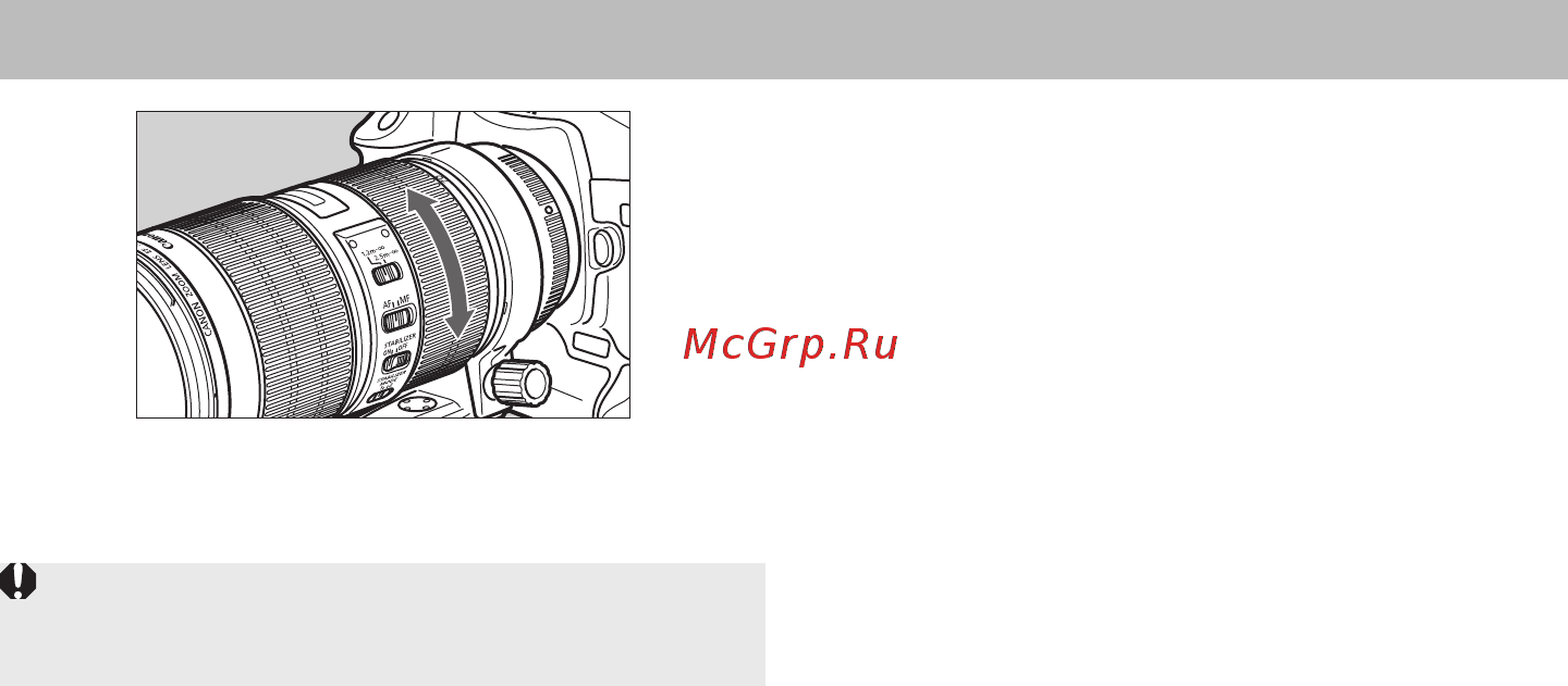 Canon EF 70-200mm f/2.8L IS III USM [8/19] Зумирование