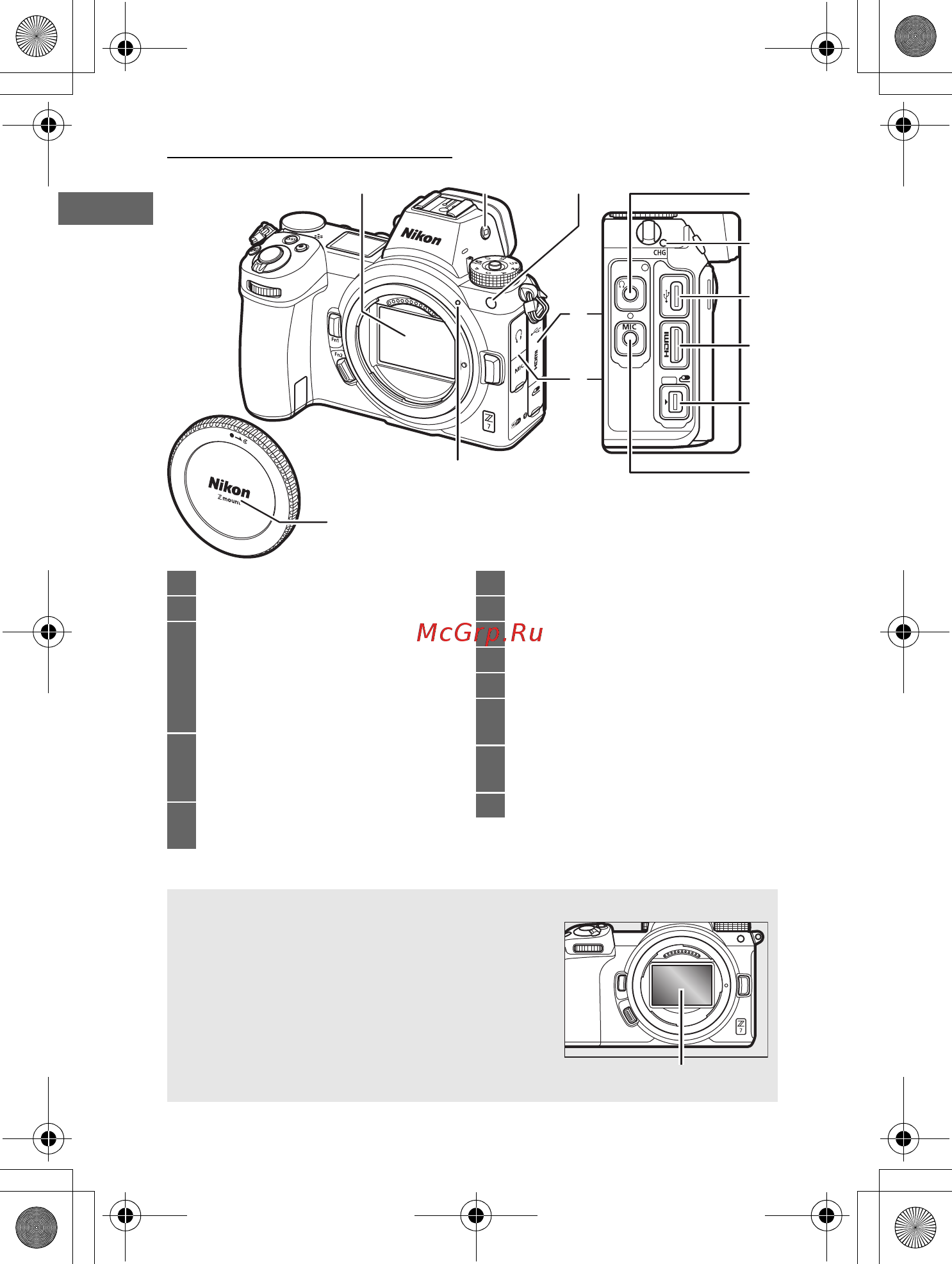 Nikon Z 6 + 24-70mm f4 + FTZ Adapter Kit [25/270] Знакомство с фотокамерой