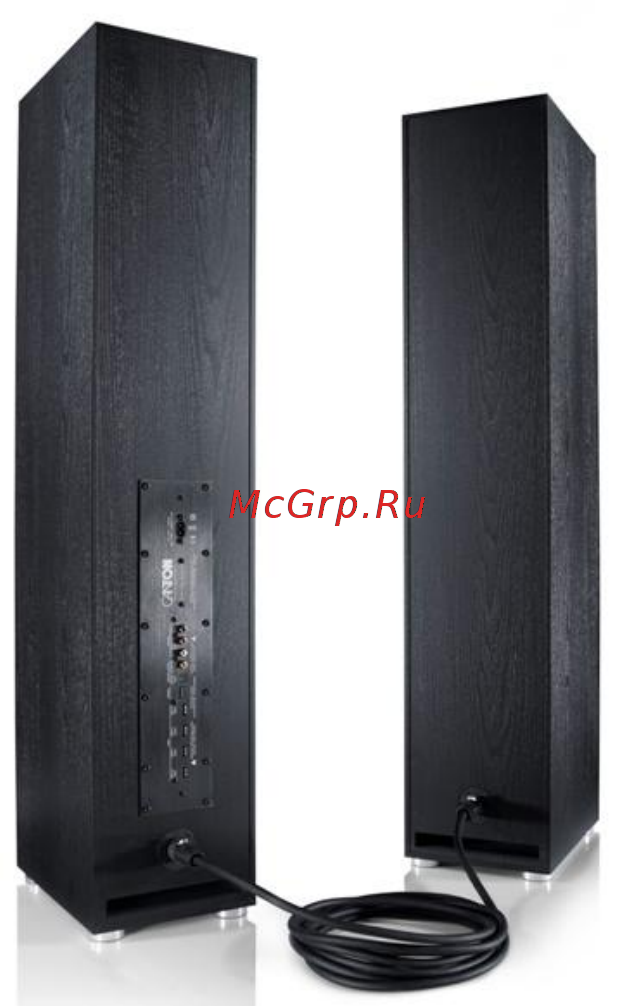Canton GLE 496.2 BT SET White [3/13] Комплектация системы