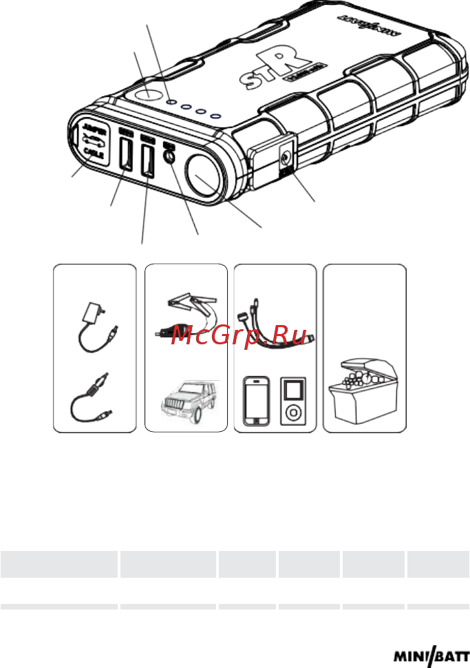 MiniBatt STR-12 (MB-STR12) [2/12] A описание основных элементов и функций