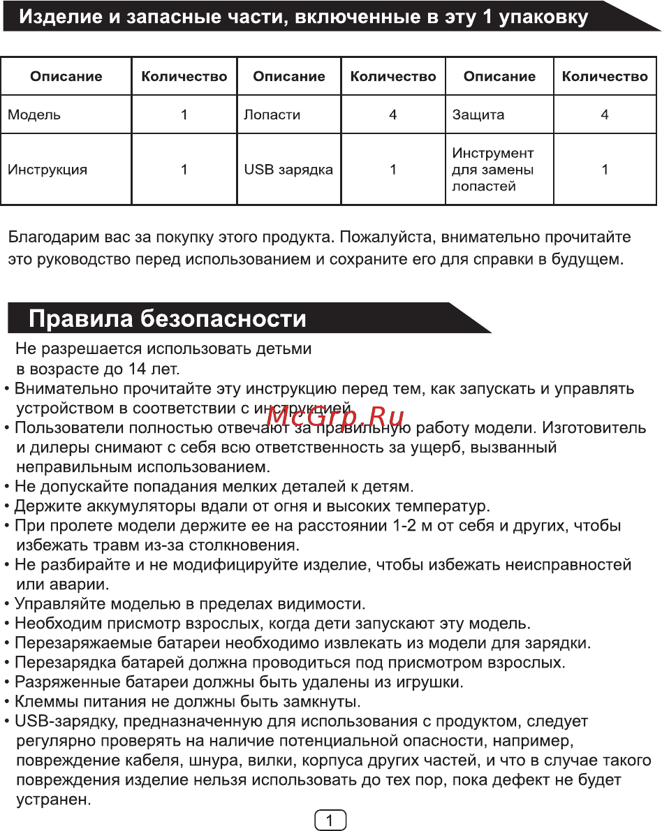 R-Wings RWA312 Light [2/17] Страница 2
