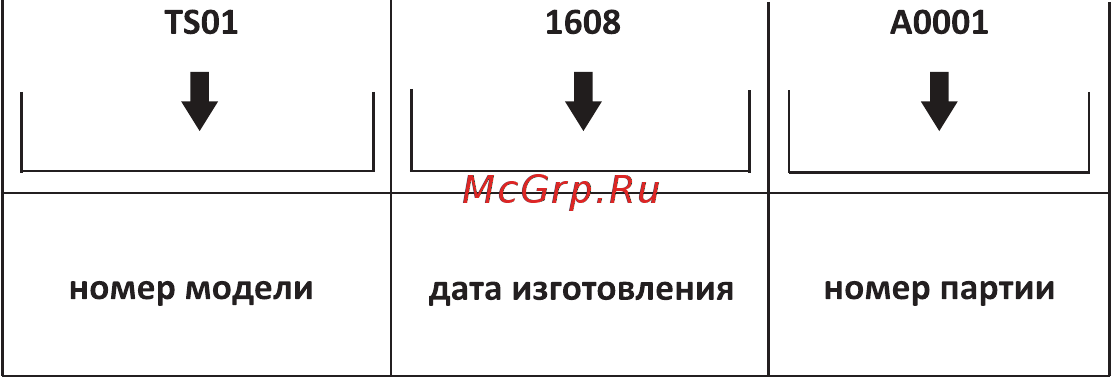 Shindo VELA sensor 60 B/BG [2/16] Визуальная расшифровка серийного номера ts011608a0001