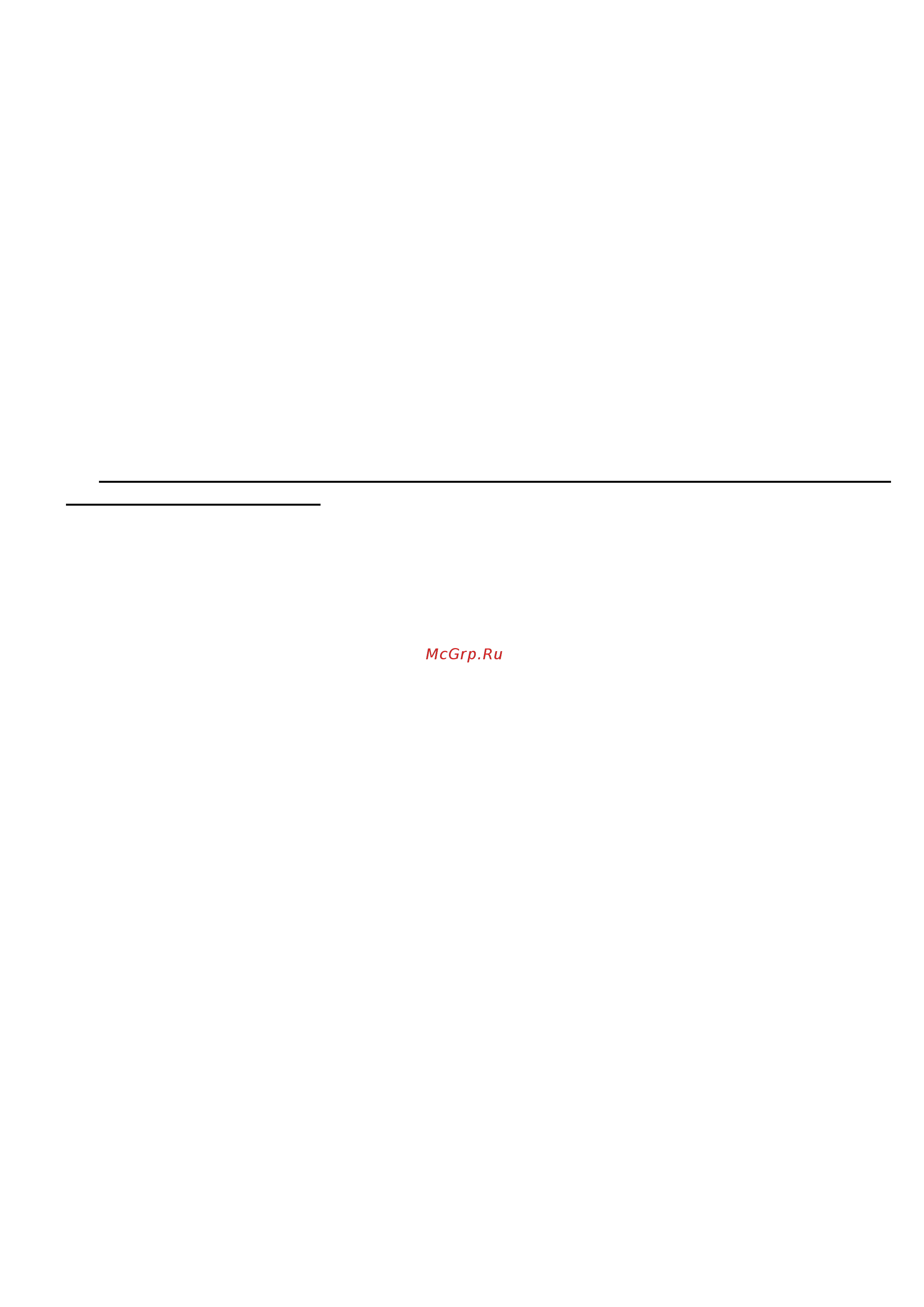Ricci RGN-650BL [13/15] 800 333 21 1