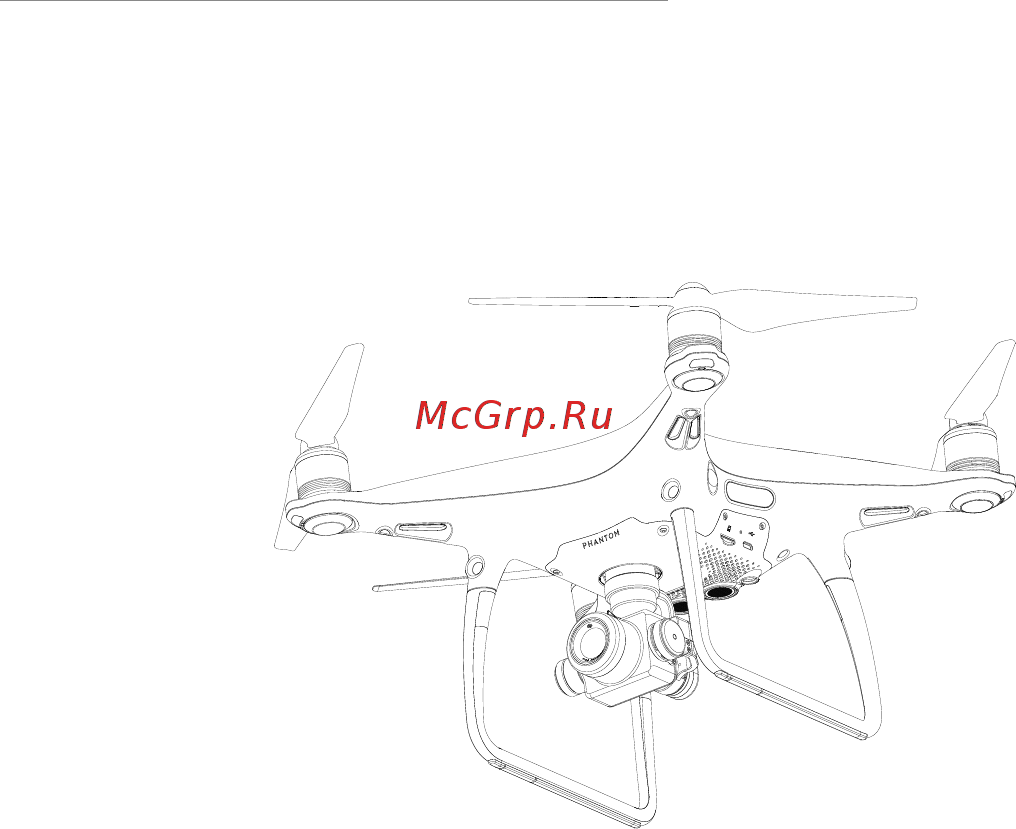 DJI Phantom 4 PRO Obsidian Edition [12/69] Дрон