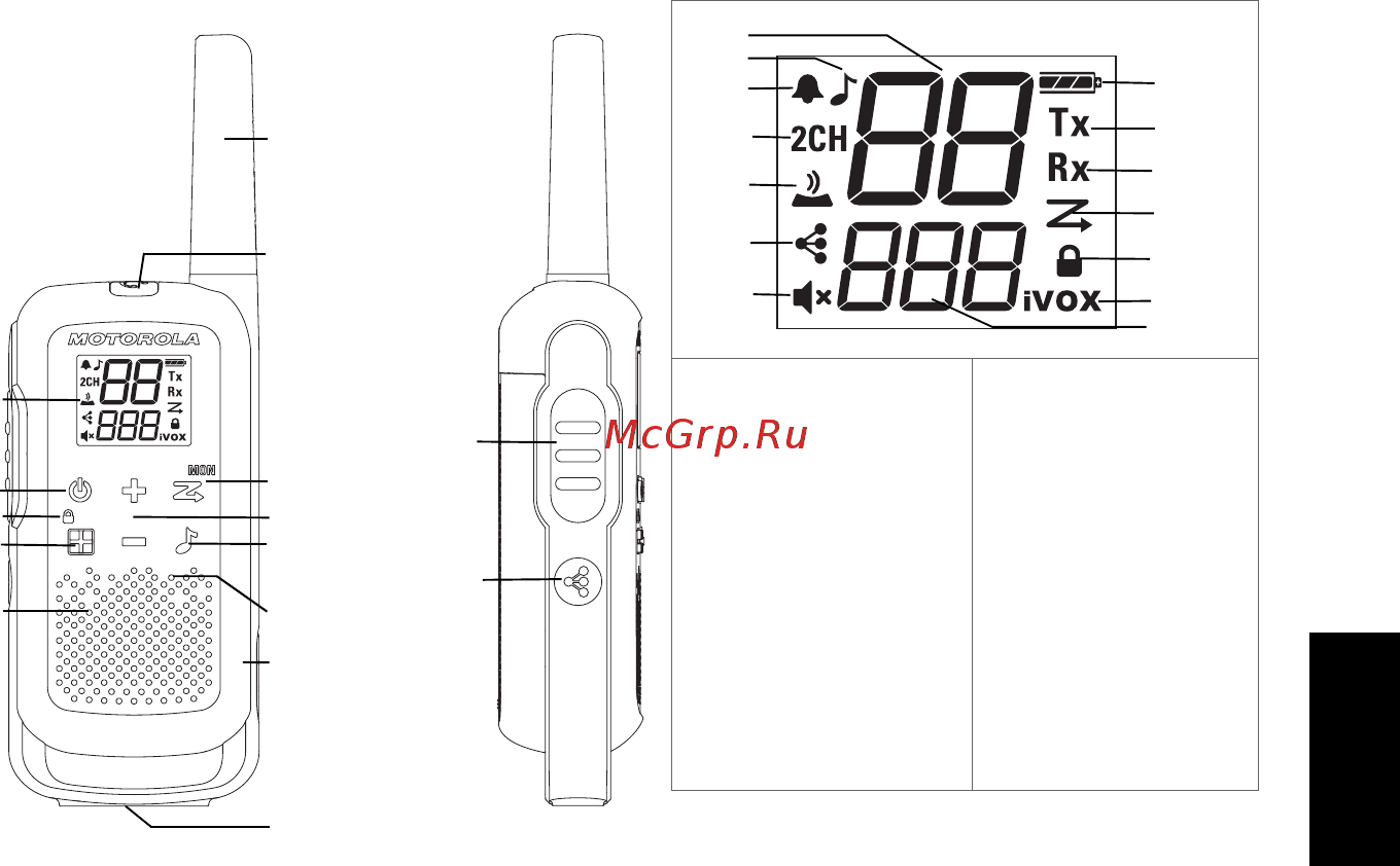 Motorola TalkAbout T62 Blue (B6P00811LDRMAW) [129/184] Кнопки управления и дисплей радиостанции