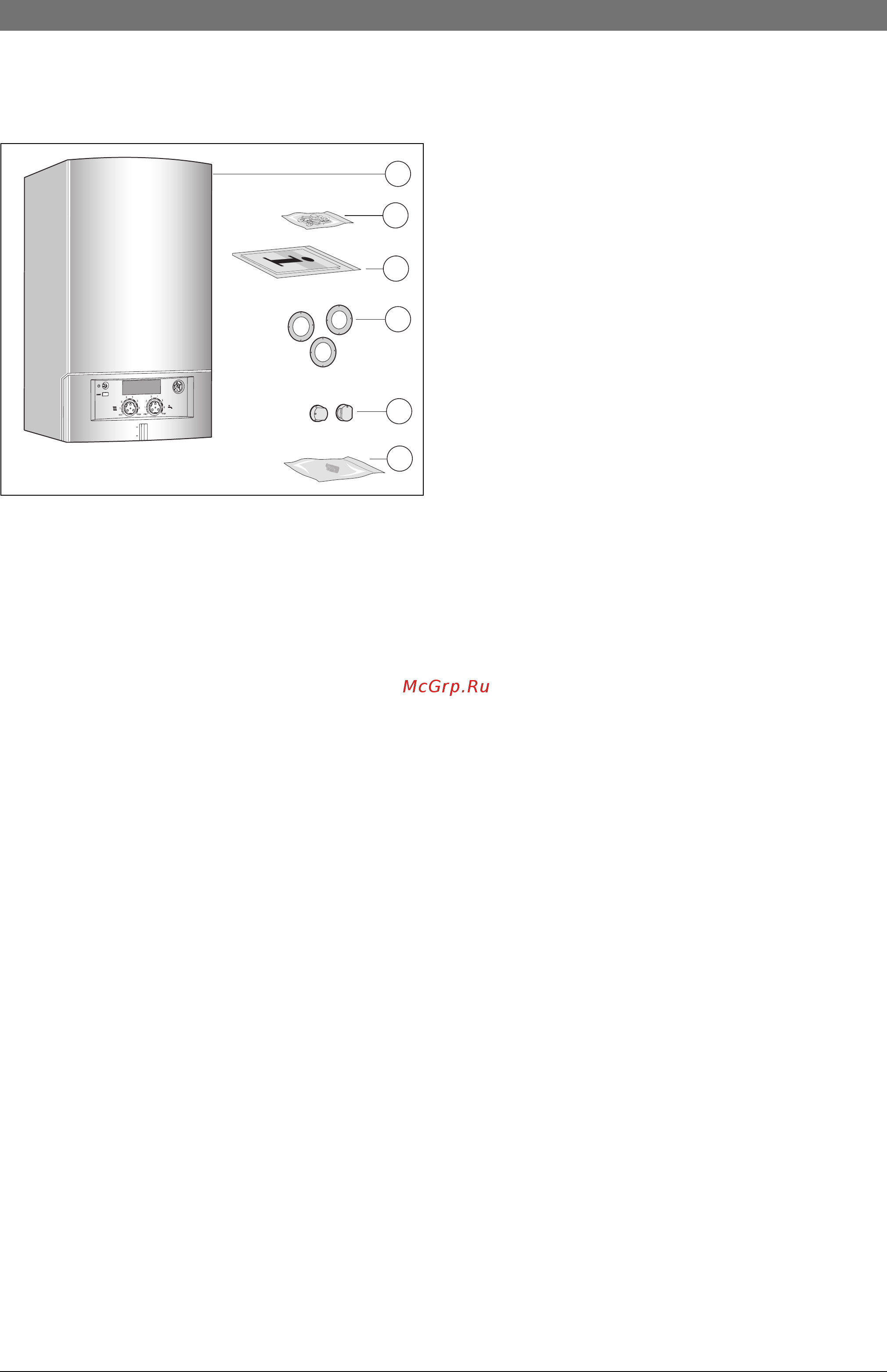 Bosch Gaz 4000 W ZSA 24-2 A 23 [6/56] Комплект поставки