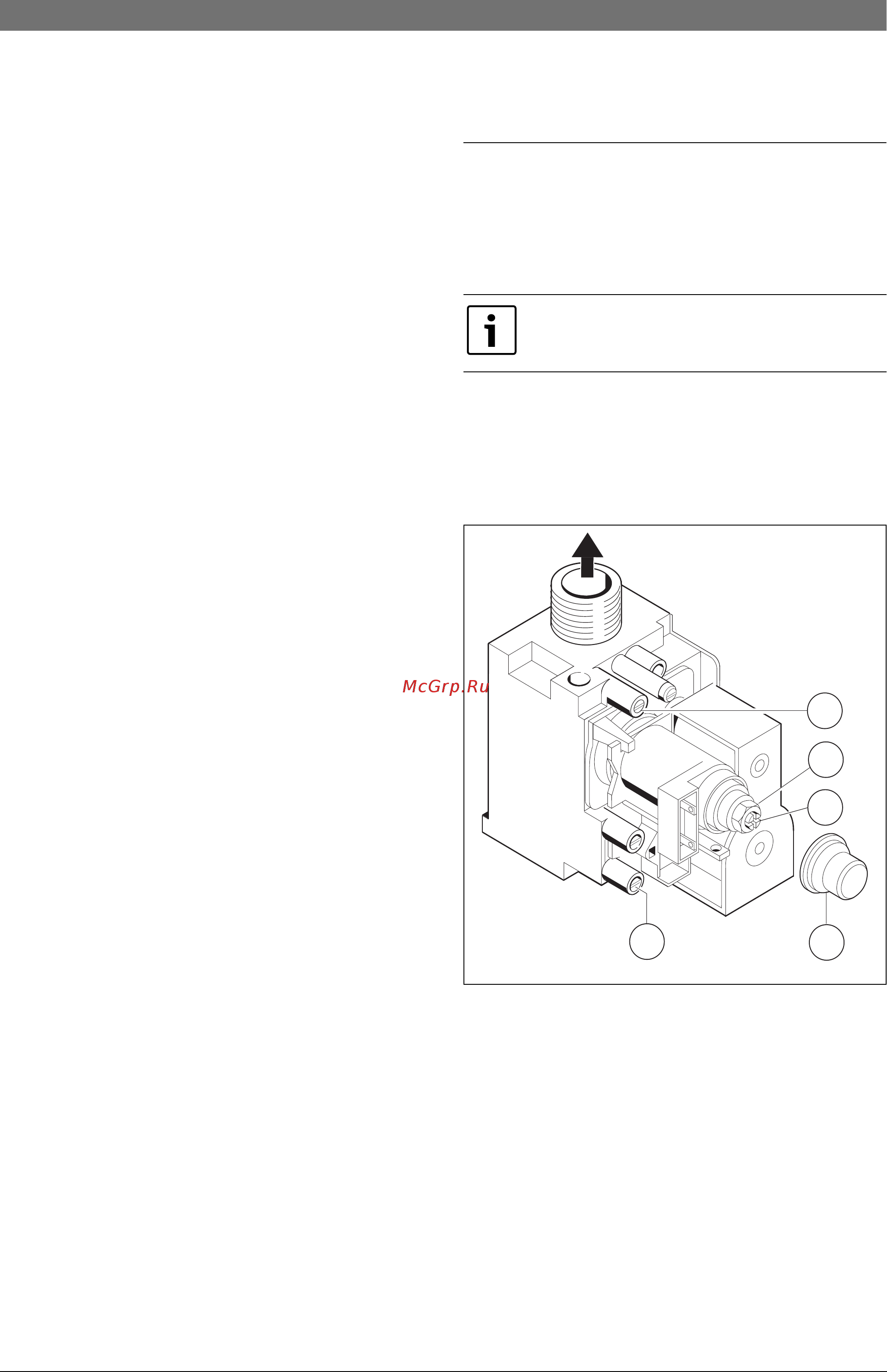 Bosch Gaz 4000 W ZWA 24-2 K 23 [39/60] Переоборудование на другой вид газа