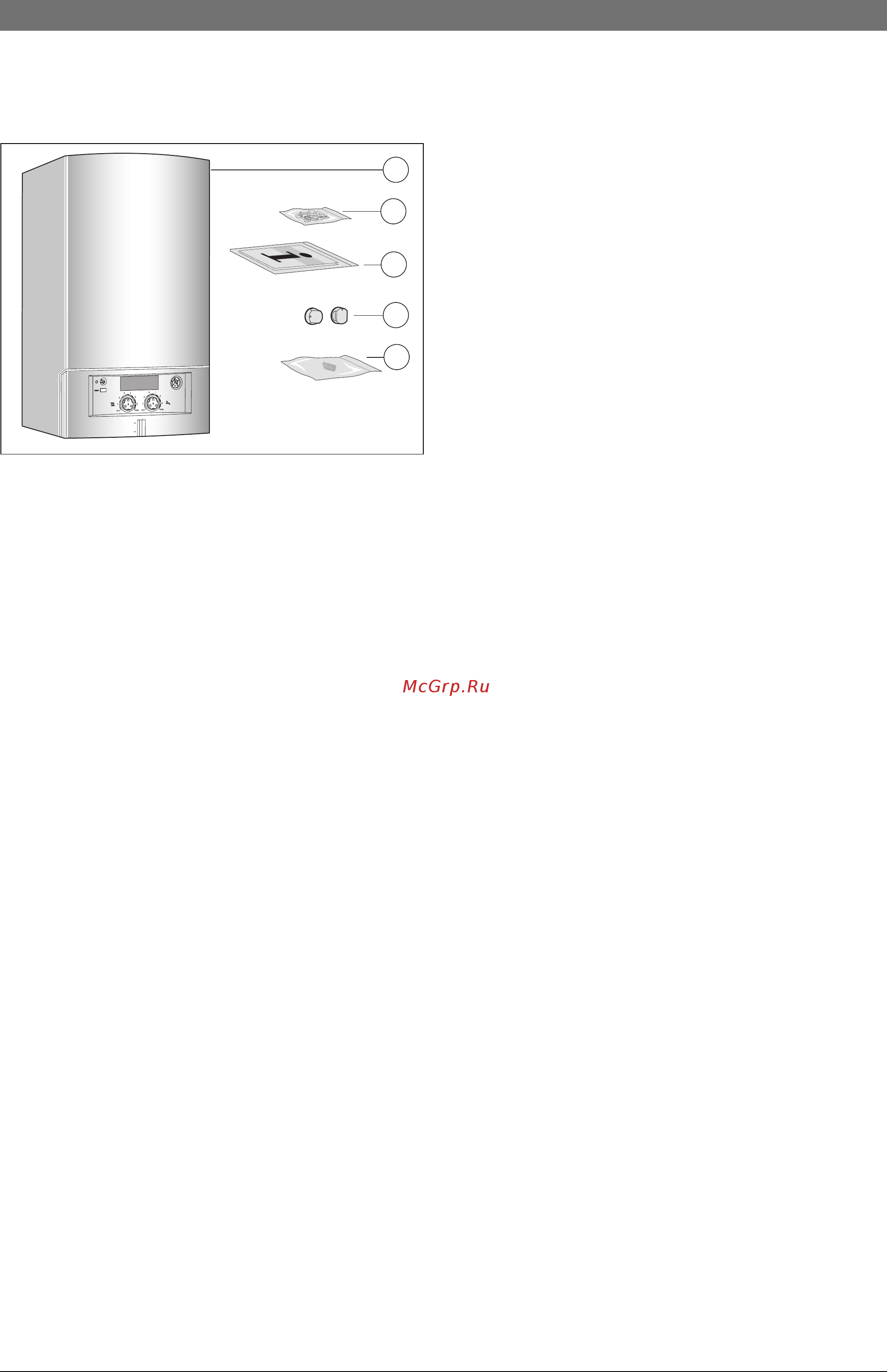 Bosch Gaz 4000 W ZWA 24-2 K 23 [6/60] Рис 1