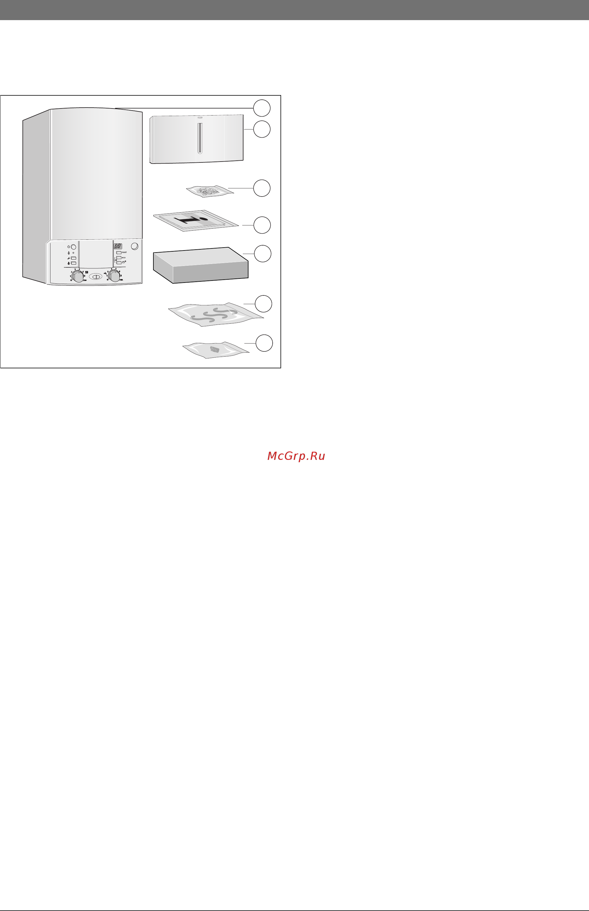 Bosch Gaz 7000 W ZSC 24-3 MFK [5/59] Комплект поставки
