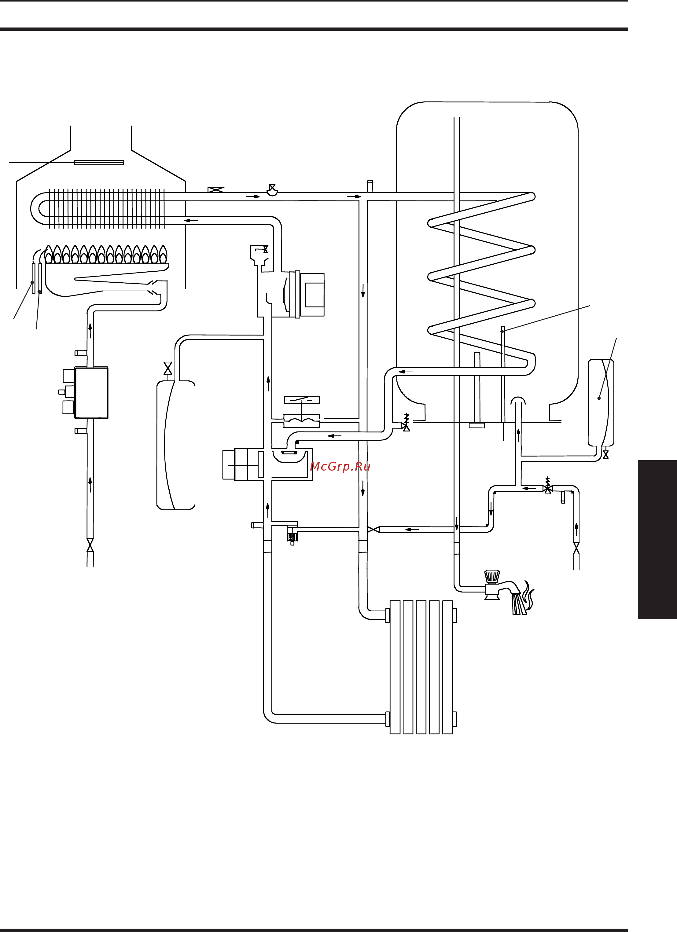 Biasi Parva Condensing M110B.32SM [17/48] Техническая информация