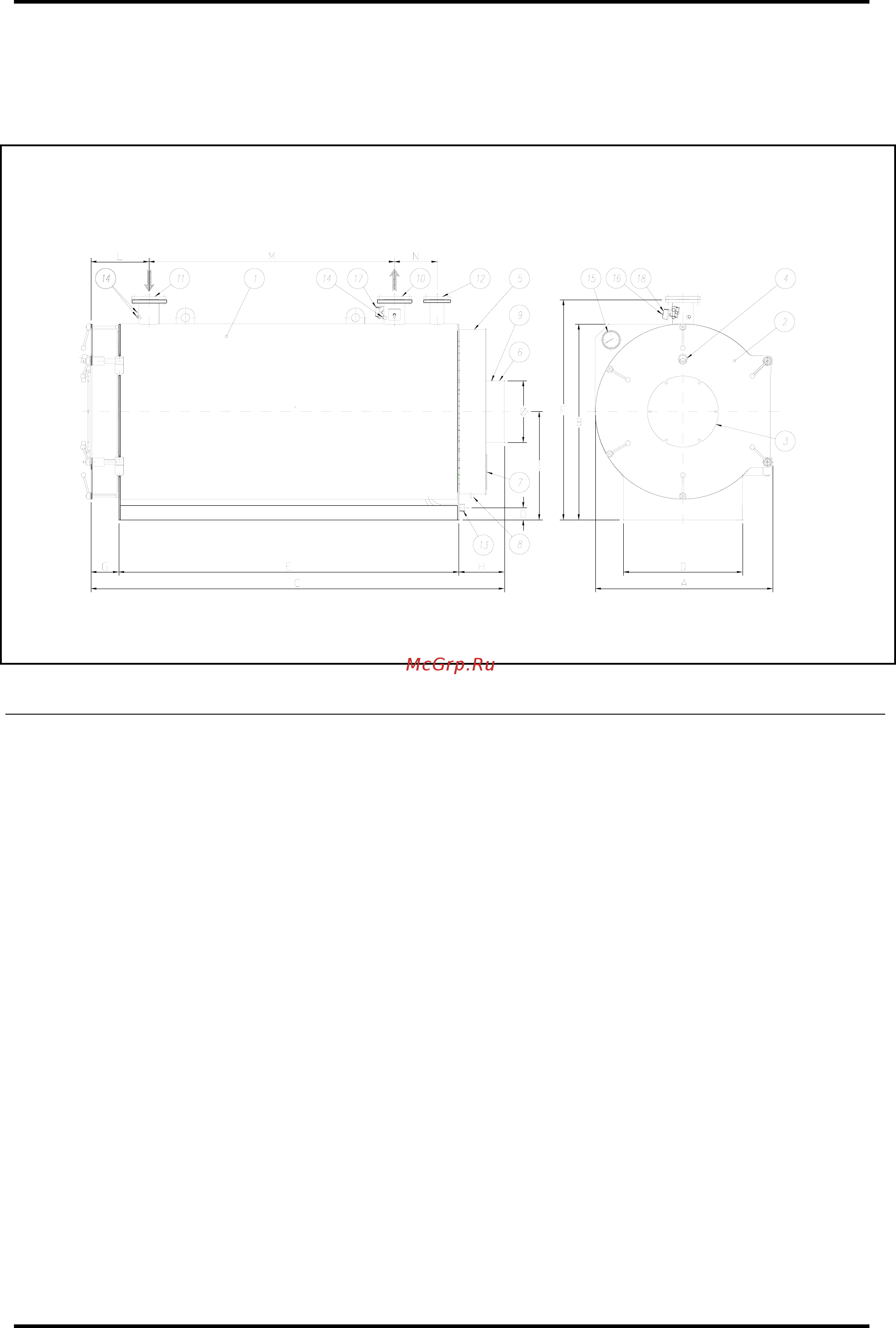 Biasi RCH 4000 [6/27] Рис 1