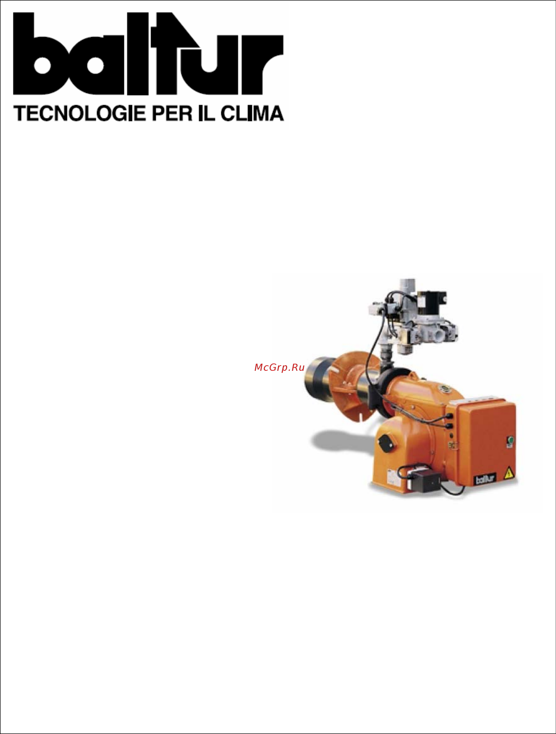 Baltur BGN - 300 P Инструкция по эксплуатации онлайн