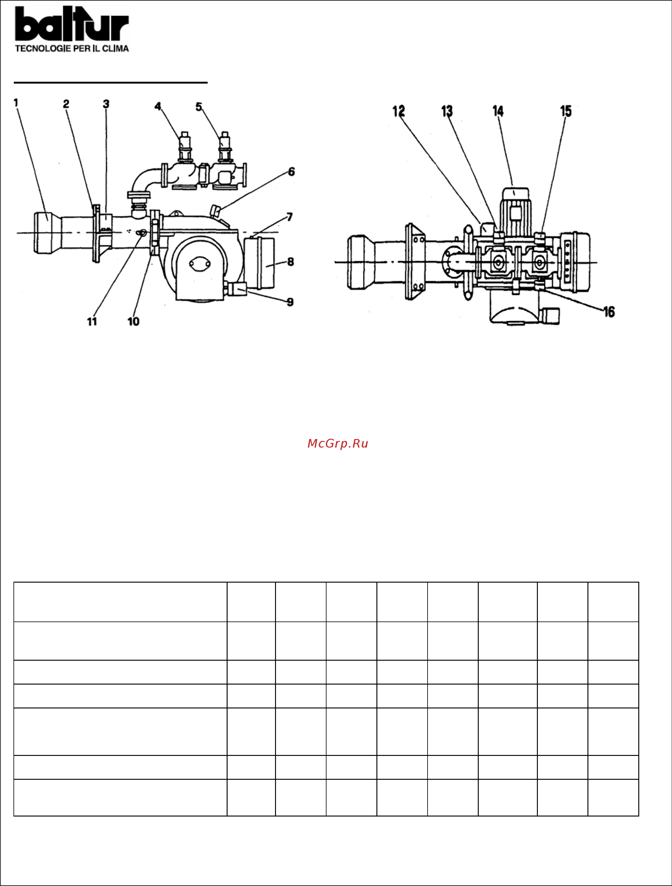 Baltur BGN - 150 P [3/54] Перечень компонентов