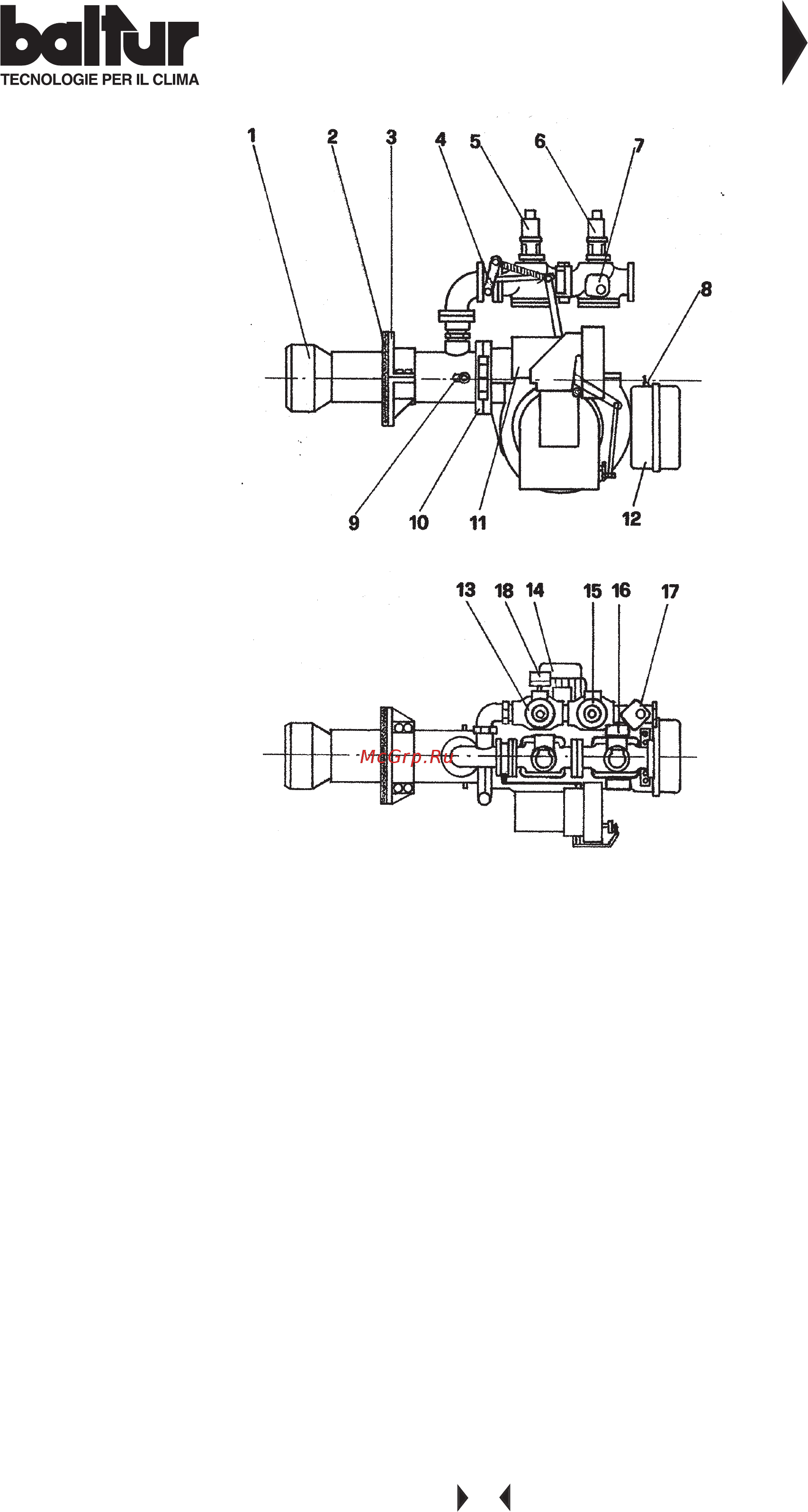 Baltur BGN 120 DSPGN [5/60] Balfùr
