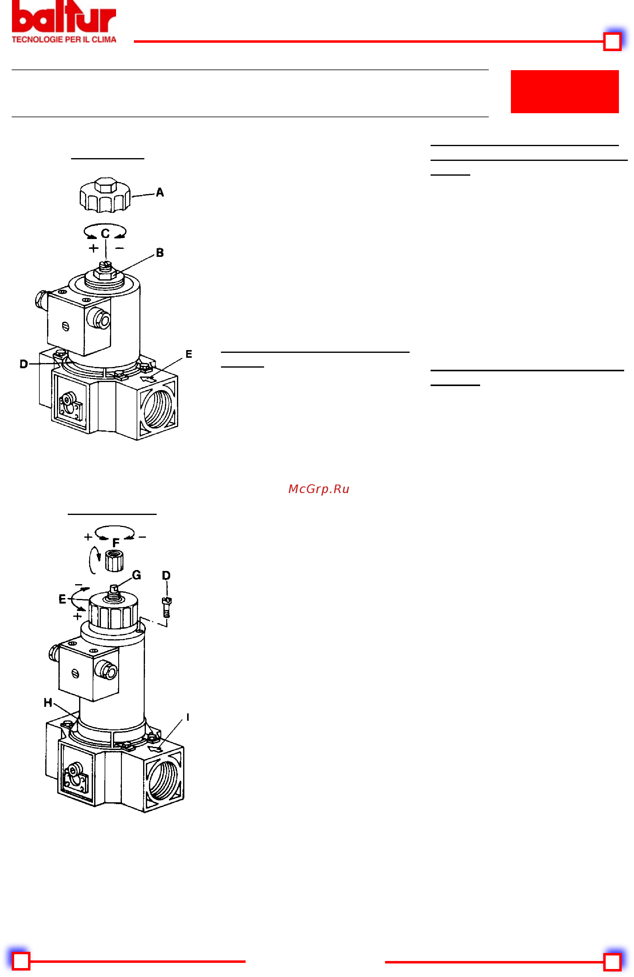 Baltur BGN 350P [21/34] Baltur