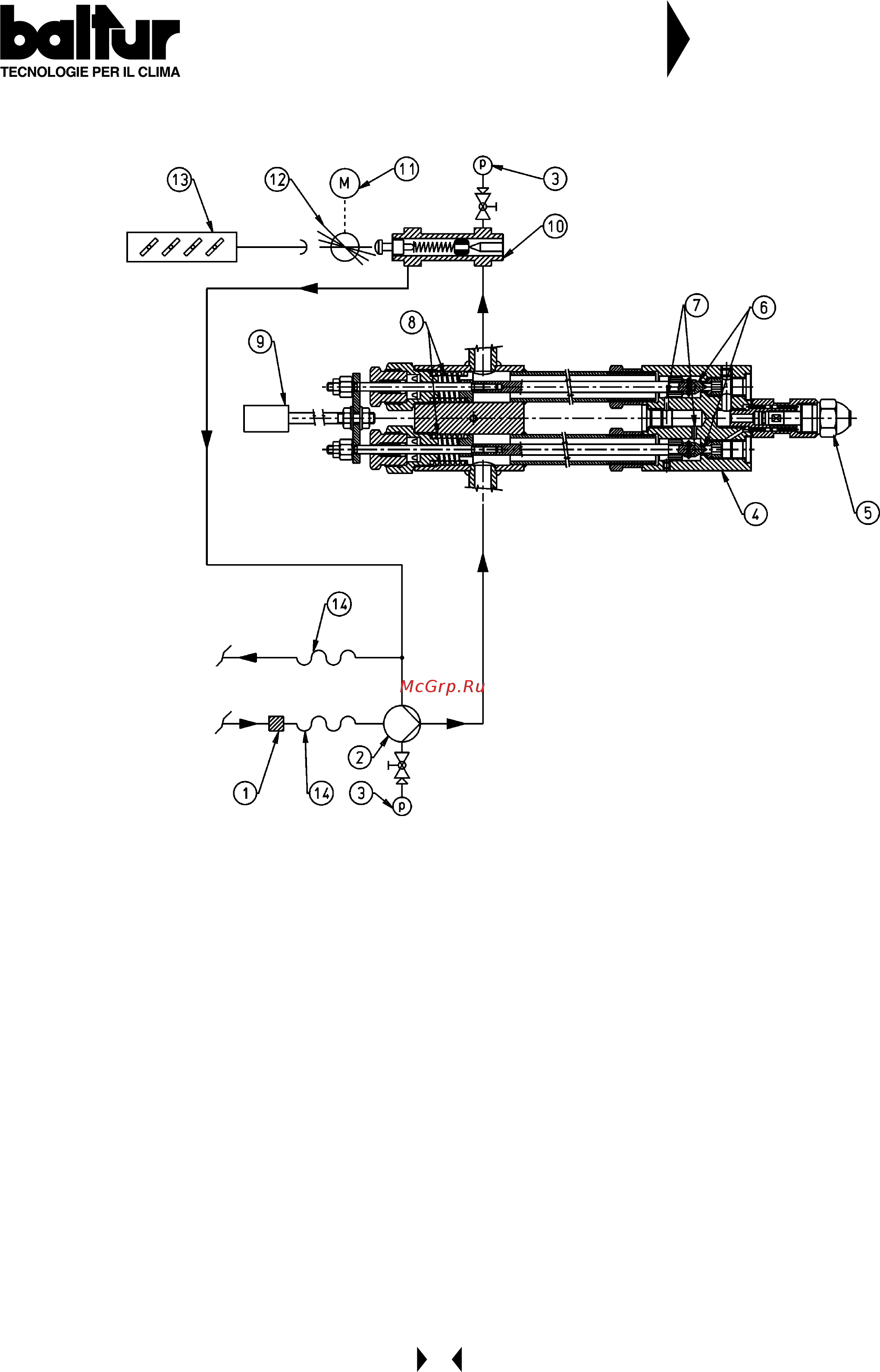 Baltur COMIST 180 DSPGM [20/78] Balhir