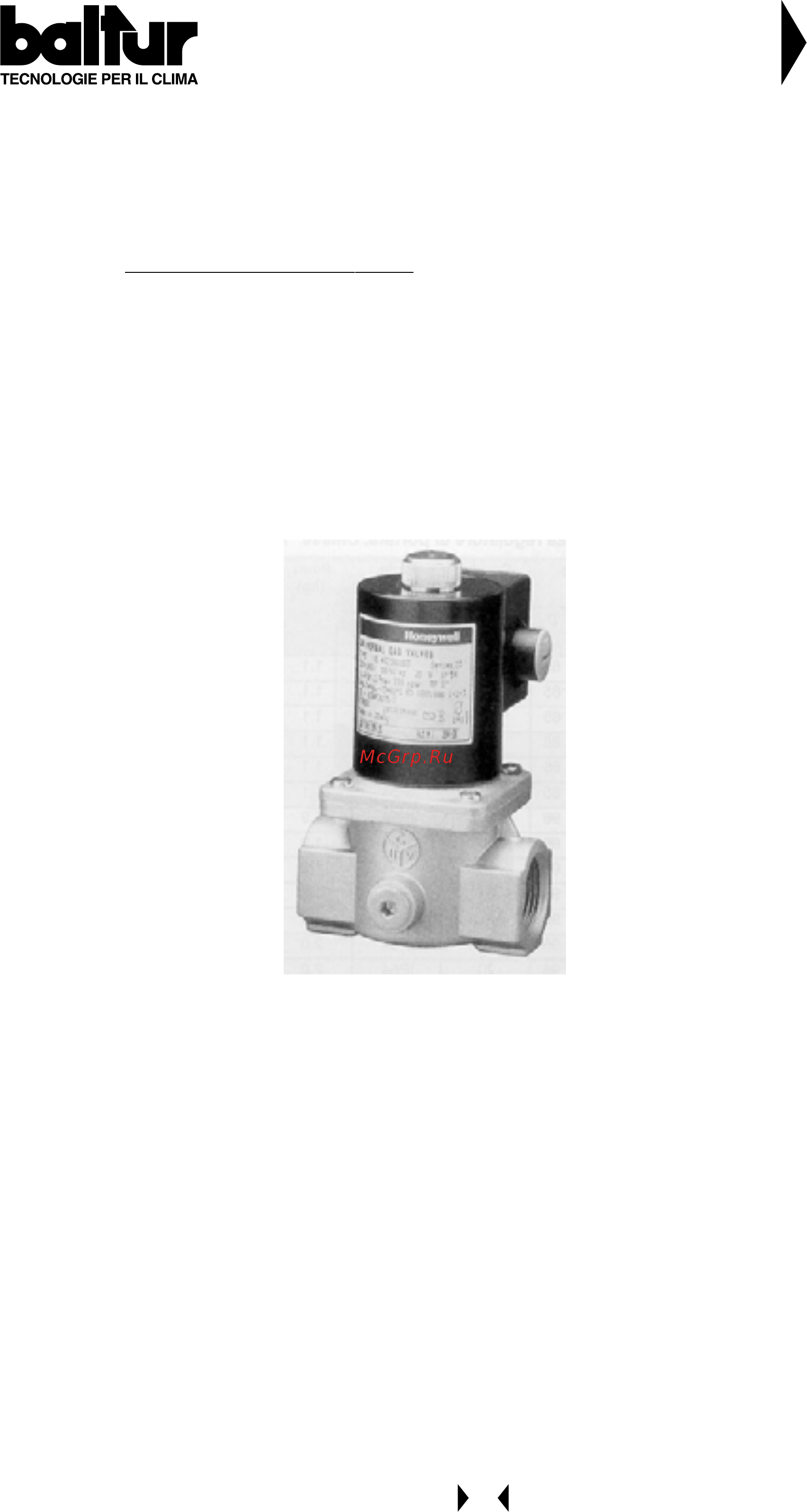 Baltur COMIST 180 DSPGM [41/78] Ballur