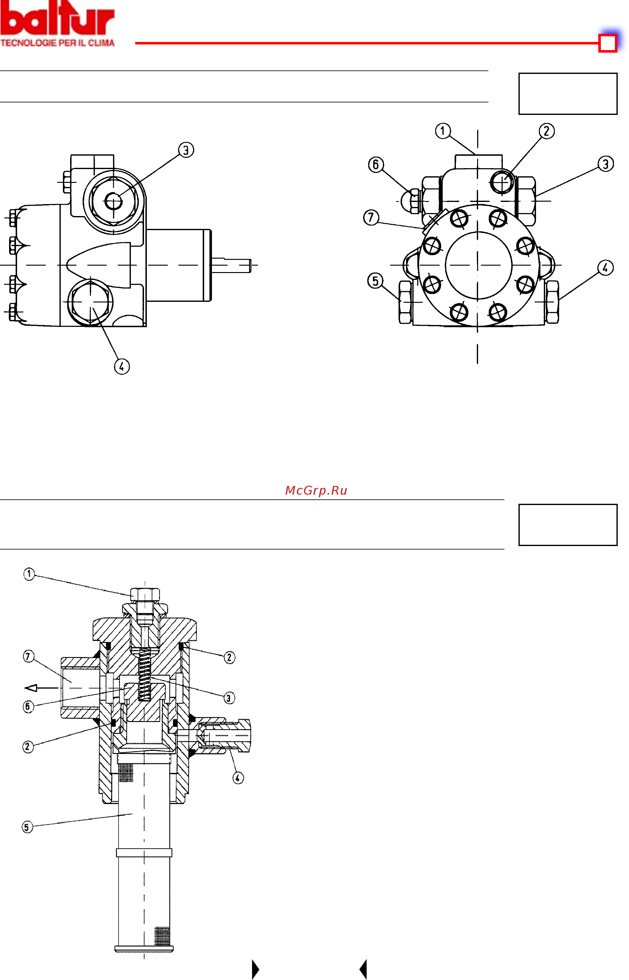 Baltur BT 40 - 350 DSN 4TD [25/45] Ьаниг____________________