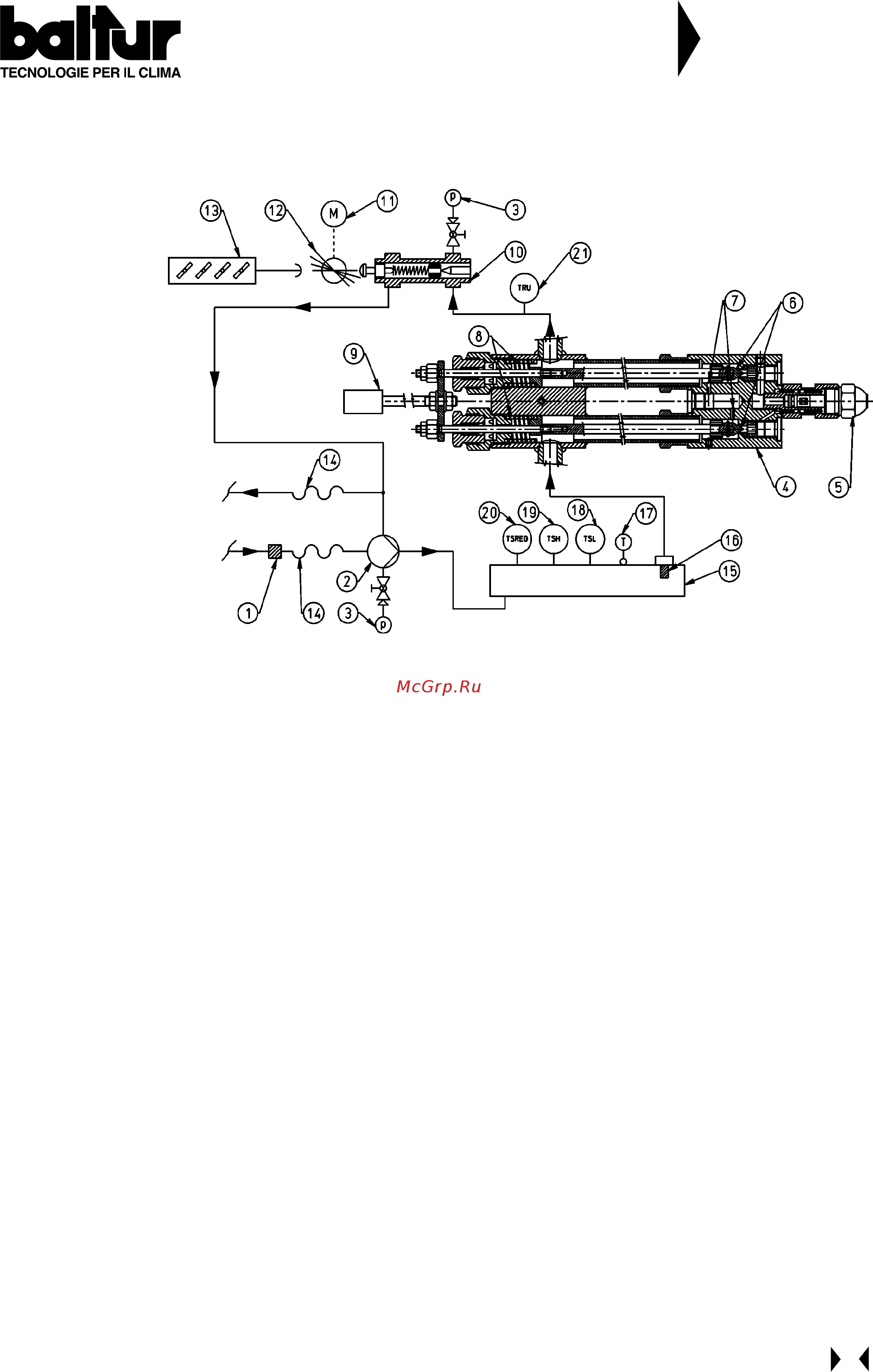 Baltur BT 350 DSPN-D [13/42] Balfur