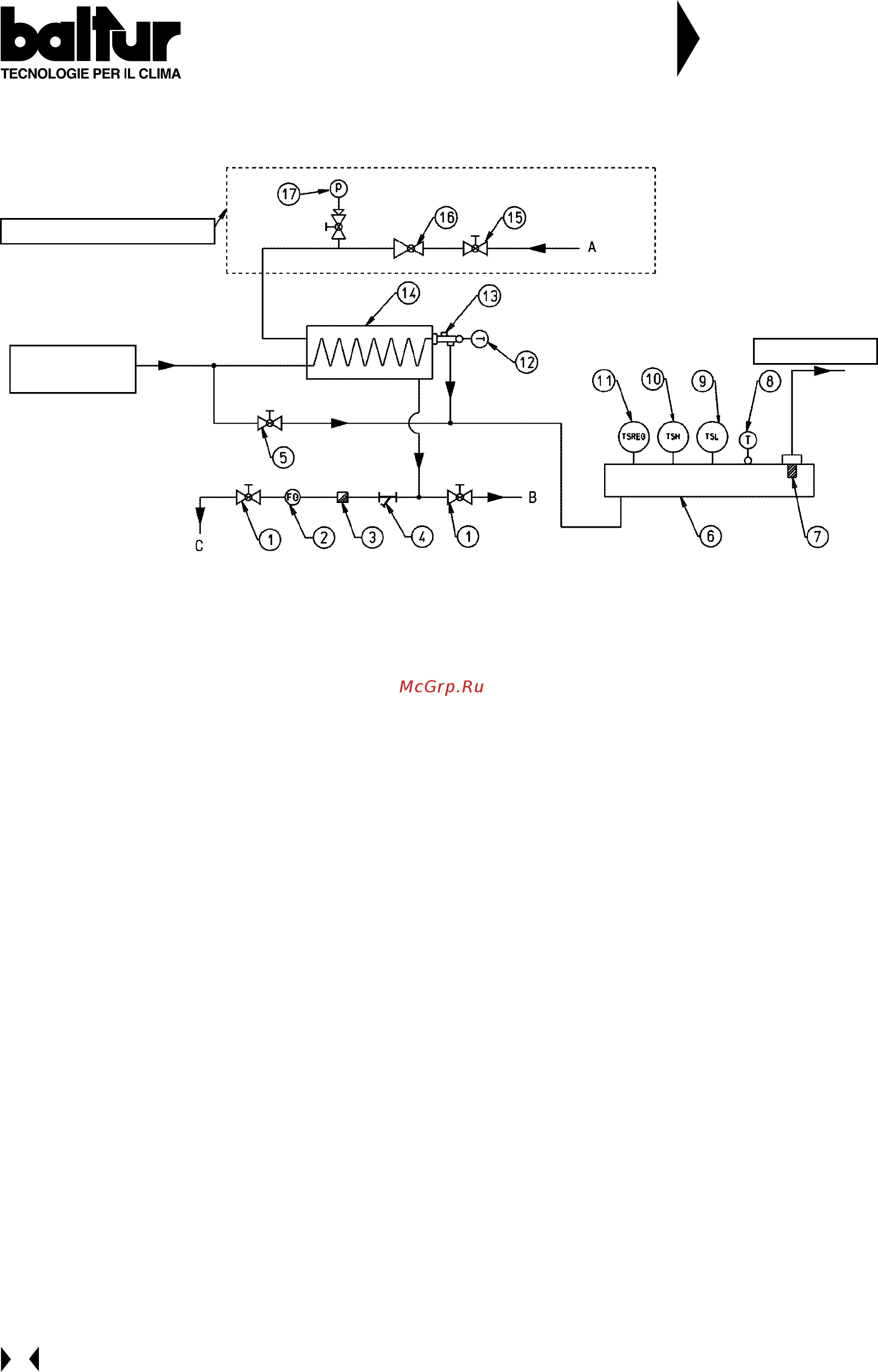 Baltur BT 350 DSPN-D [22/42] Baltur