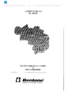 Bentone BG 300-2 Инструкция по эксплуатации
