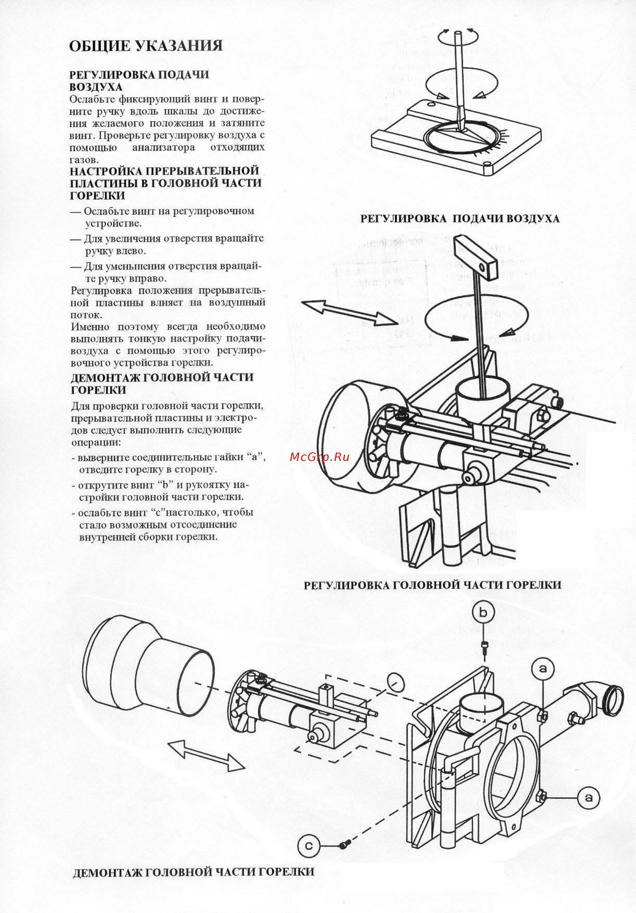 Bentone BG 300 [10/20] Общие указания