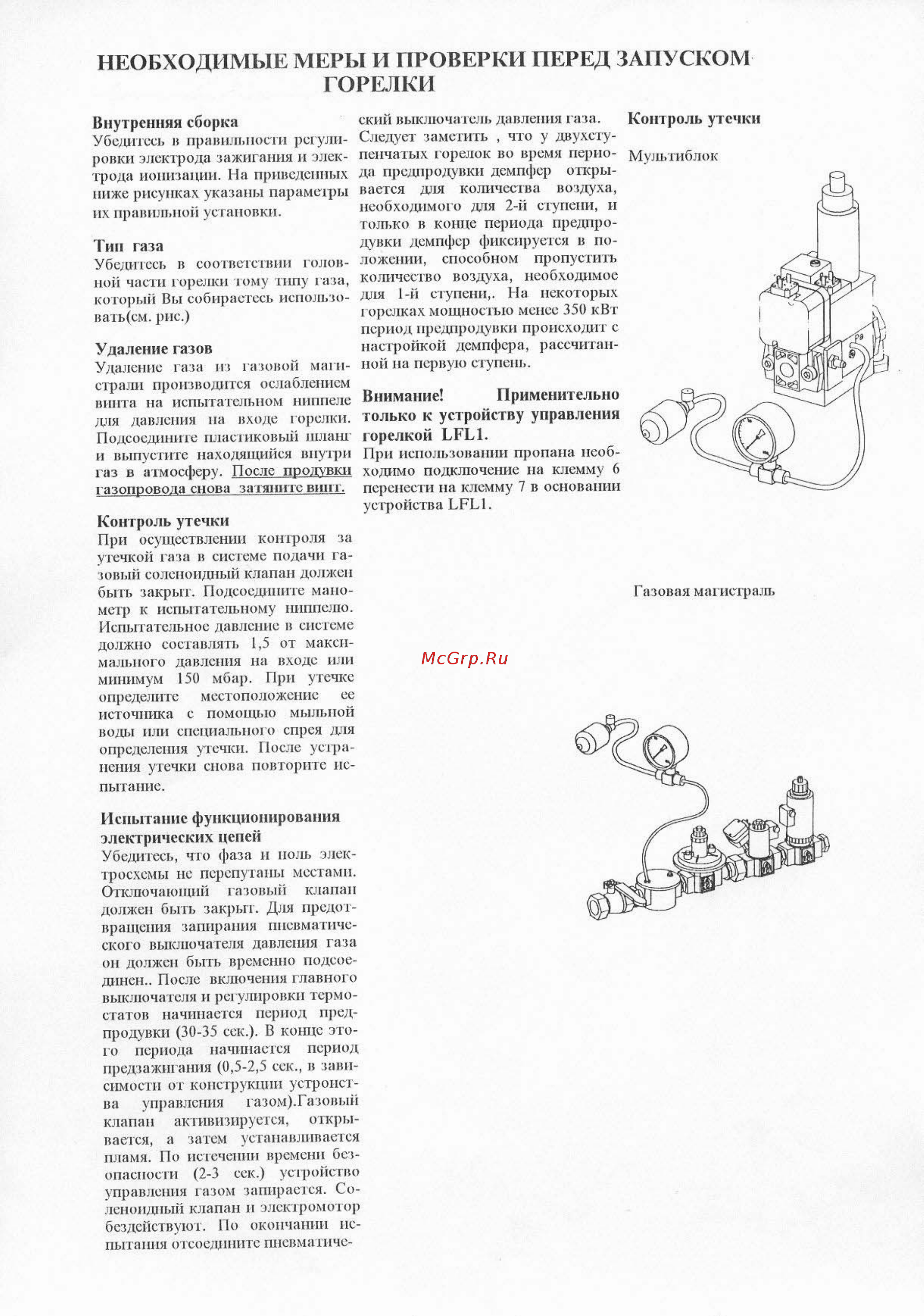 Bentone BG 300 [9/20] Необходимые меры и проверки перед запуском
