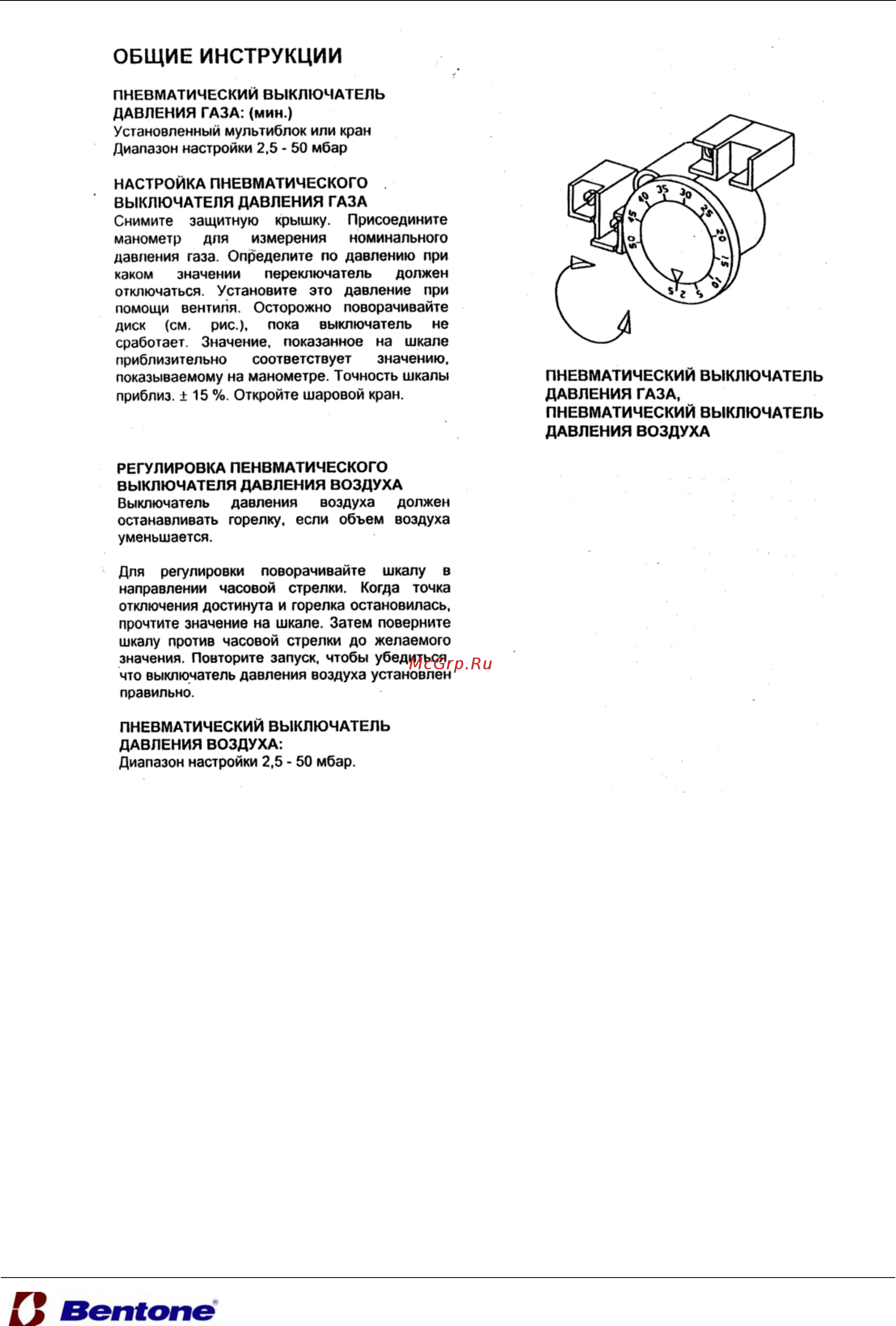 Bentone BG 700 [10/18] Enertech group company горелочные устройства