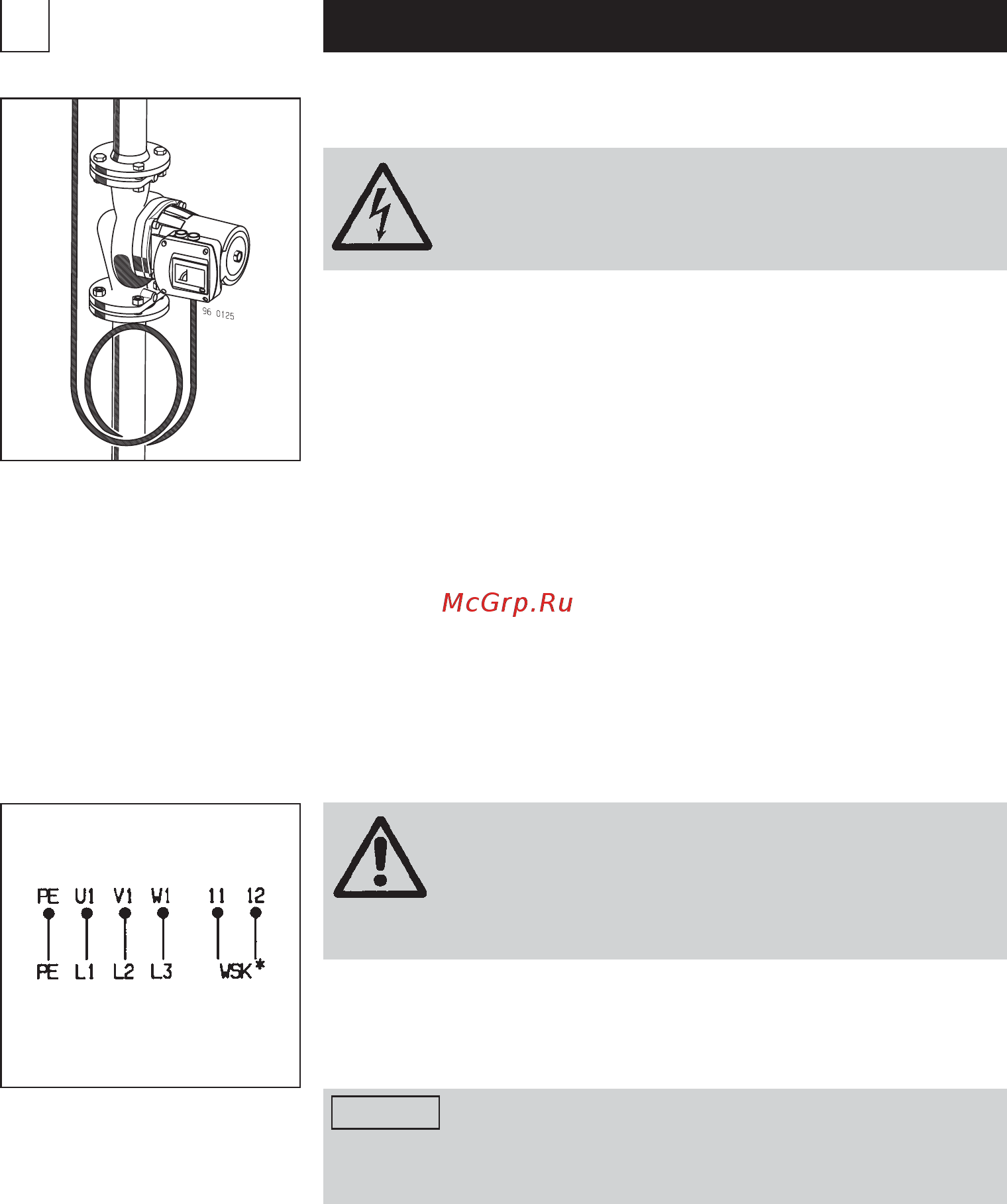 Biral HX 502-1 [45/60] Racordarea electrică