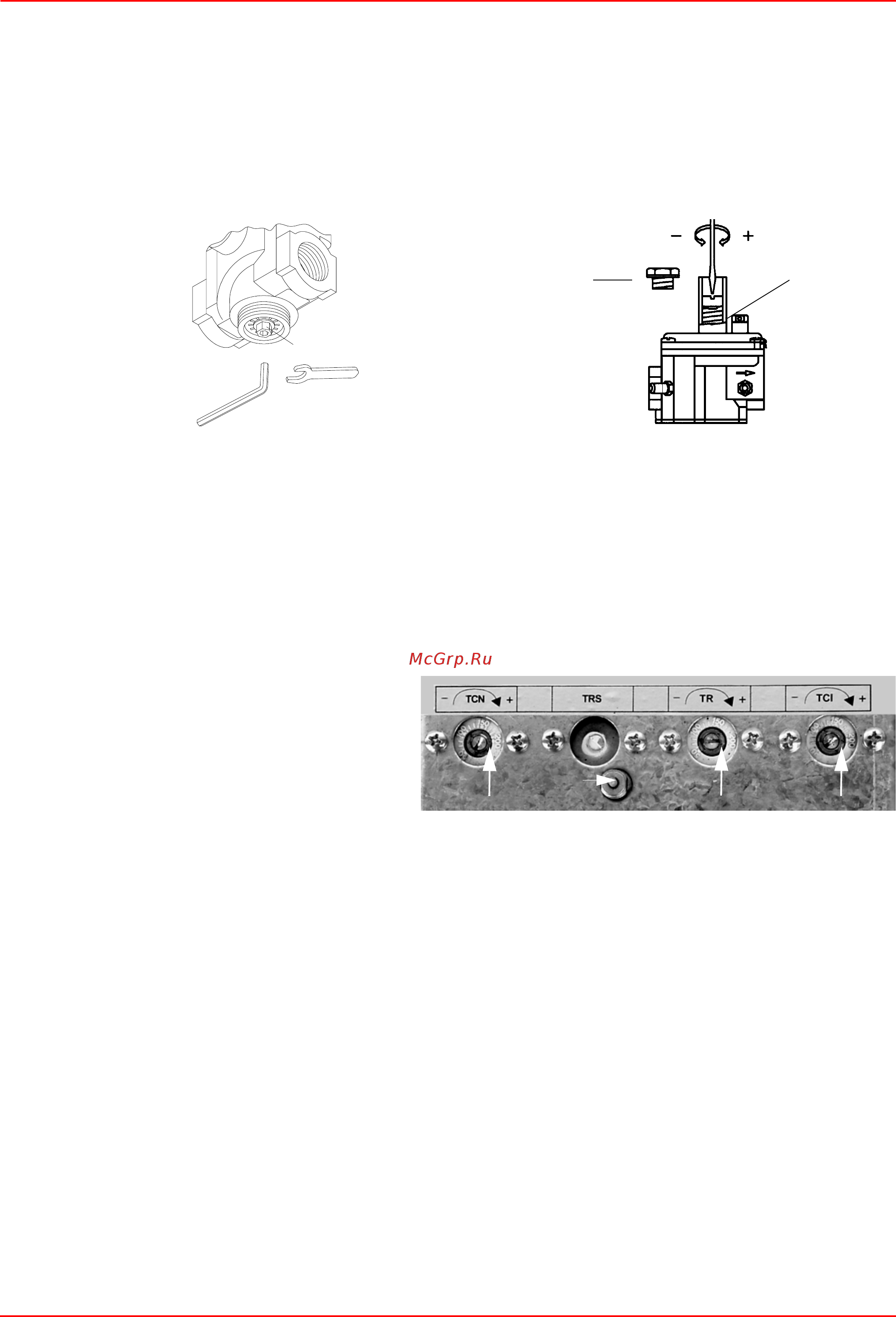 CIB Unigas Mille RN1030 D-.MD.L.RU.A [19/55] Газовый клапан запальника клапан регулирования давления brahma eg12 r