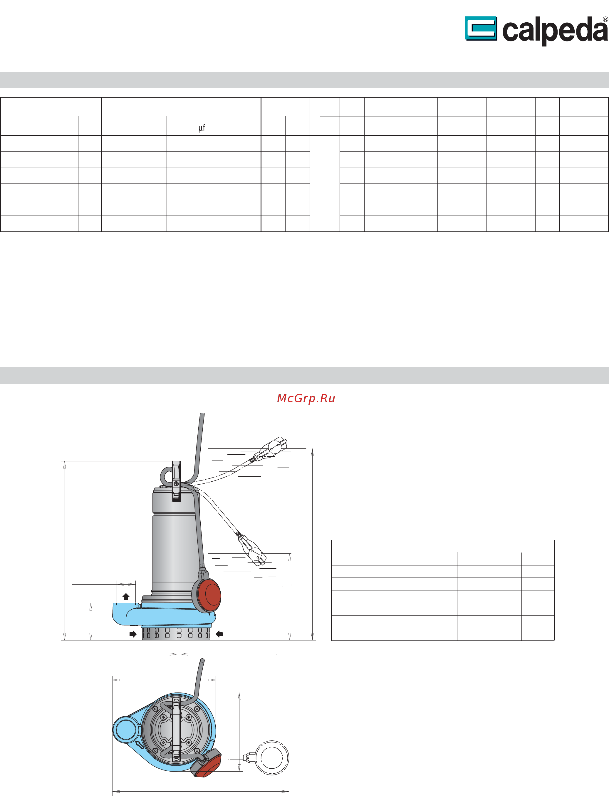 CALPEDA GQR 10-10 [2/4] Сои