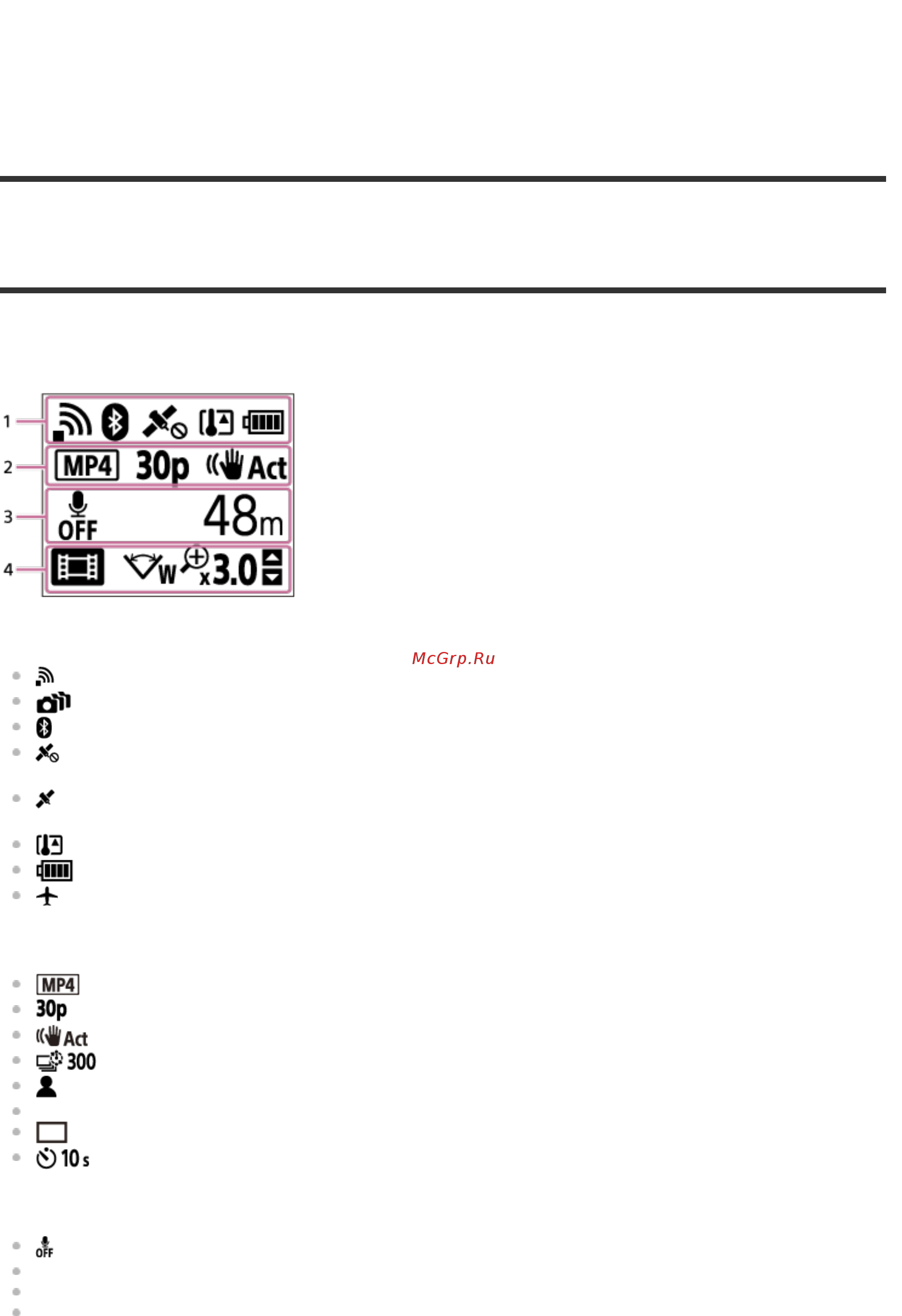 Sony FDR-X3000/WC White [12/138] Экранная индикация