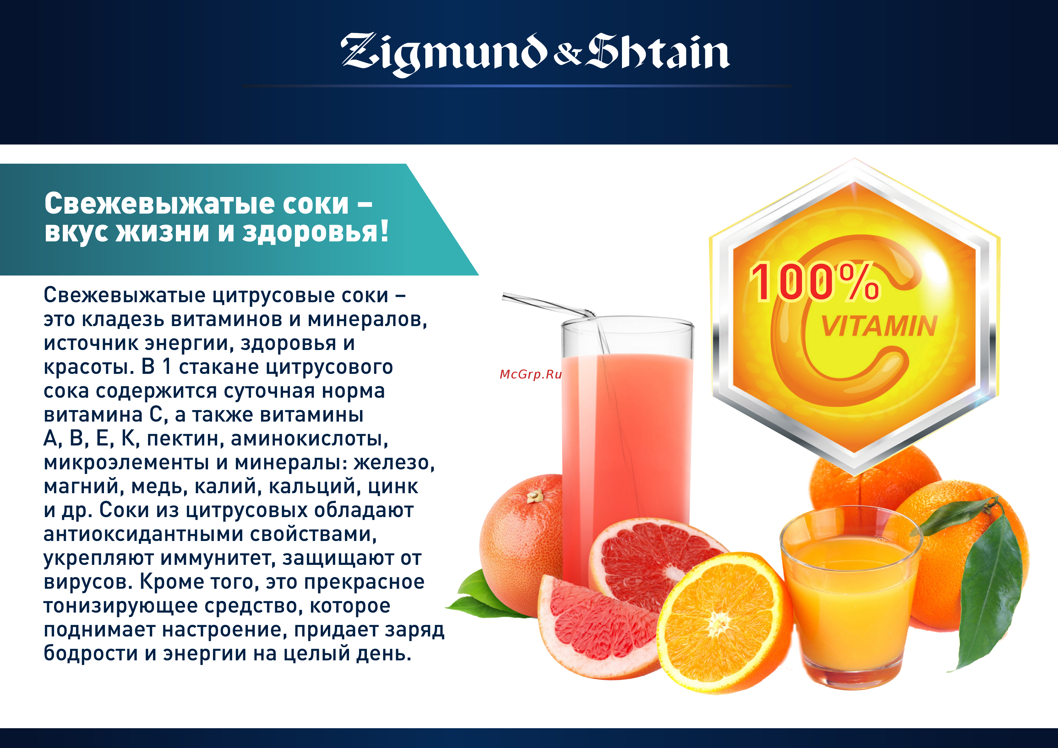 Zigmund & Shtain ECJ-745 Инструкция по эксплуатации онлайн [3/11] 376851