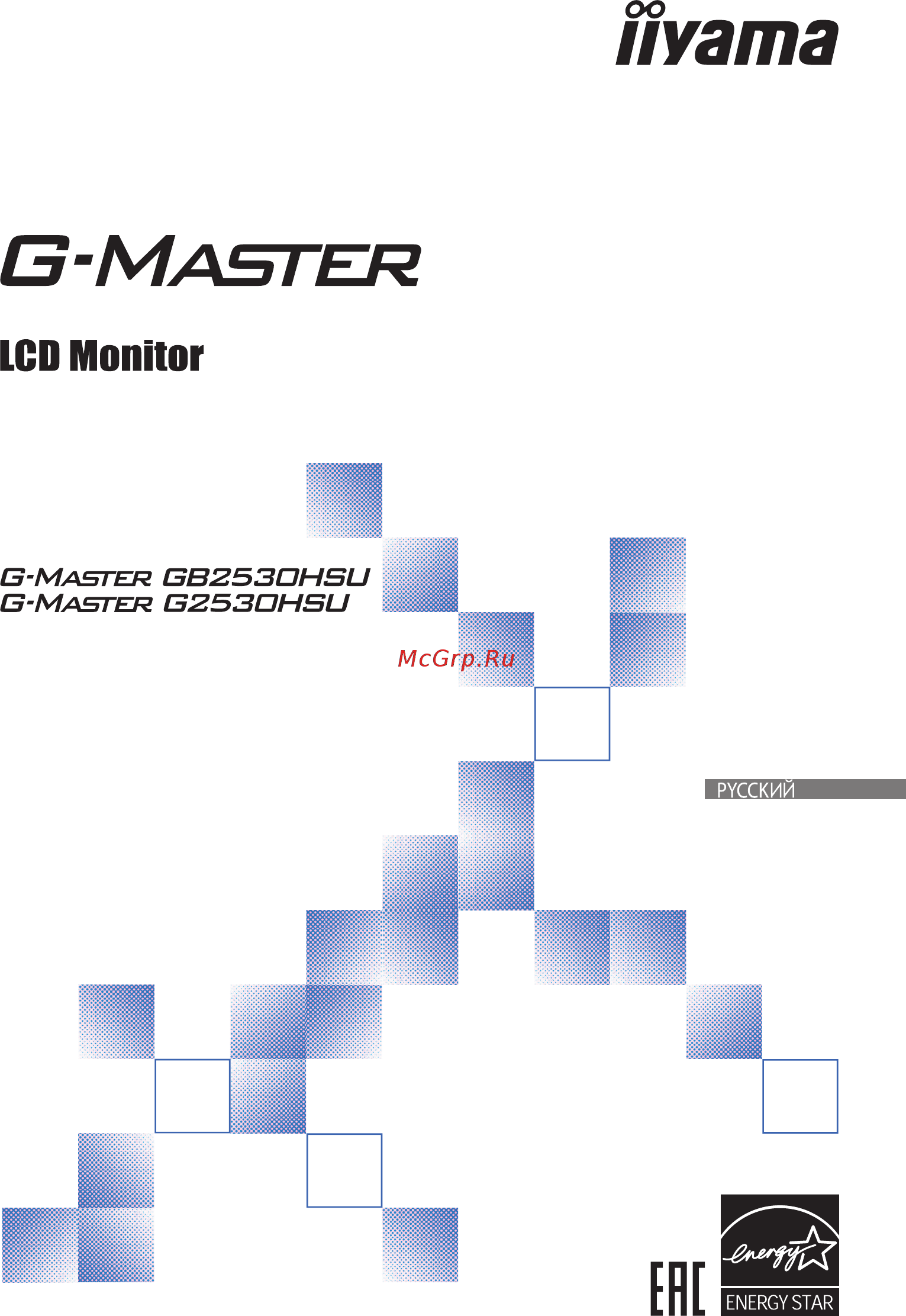 Iiyama G-MASTER GB2530HSU-B1 [2/36] Руководство пользователя