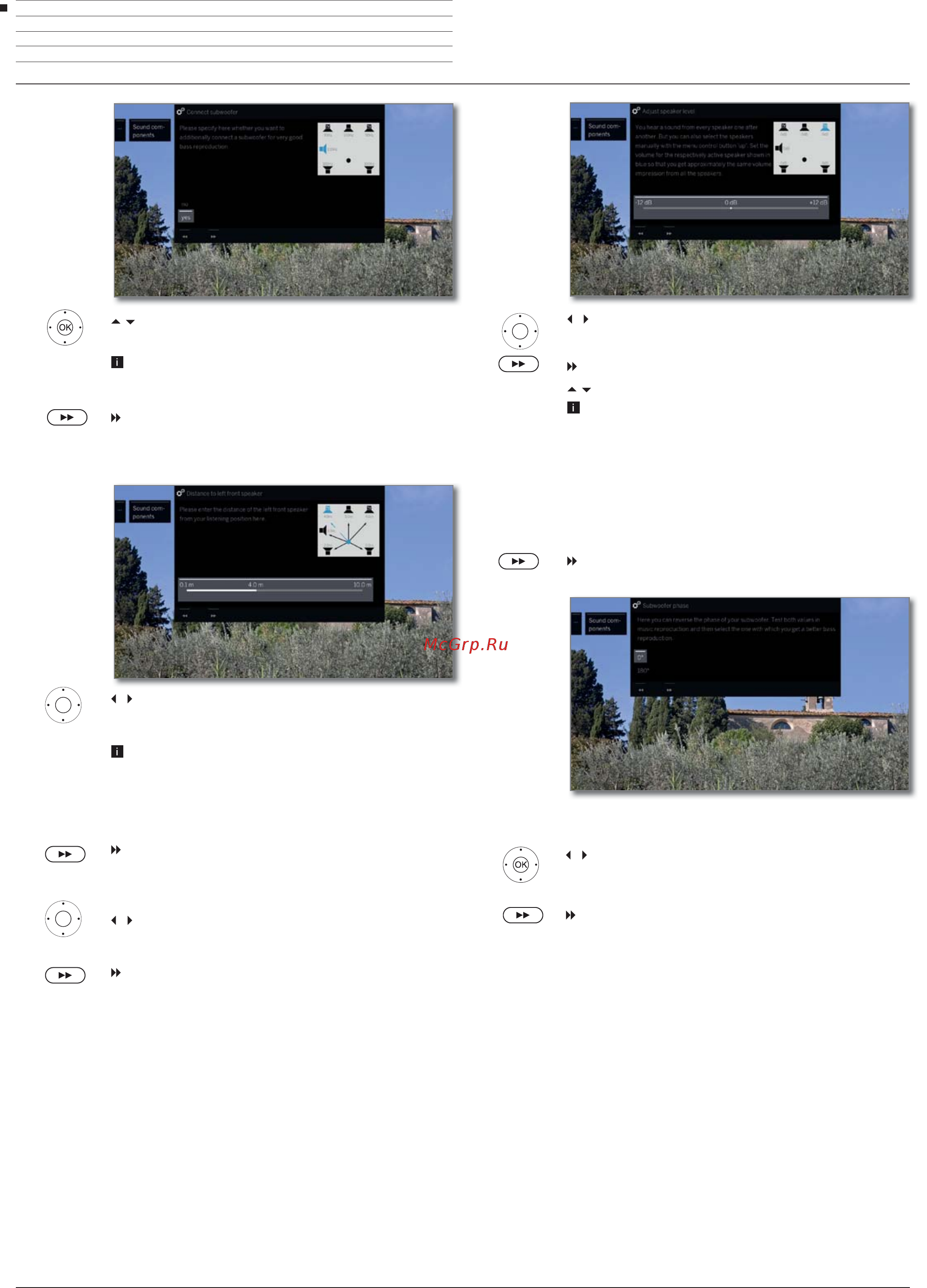 Loewe Bild 3.43 Light Grey [122/204] Subwoofer