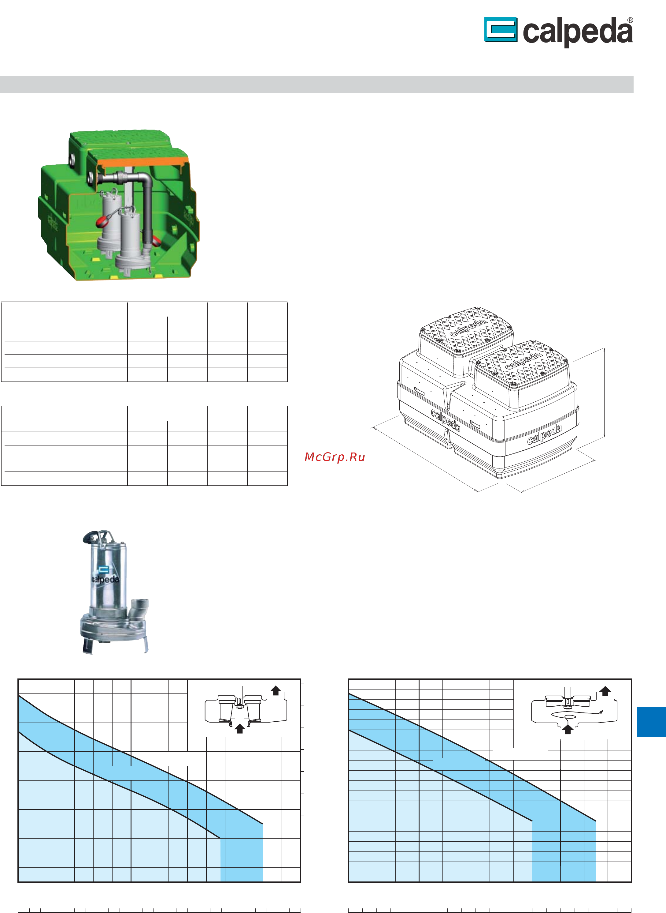 CALPEDA GEO 230-GXVM 25-10 [15/22] Geo 500 geo 500