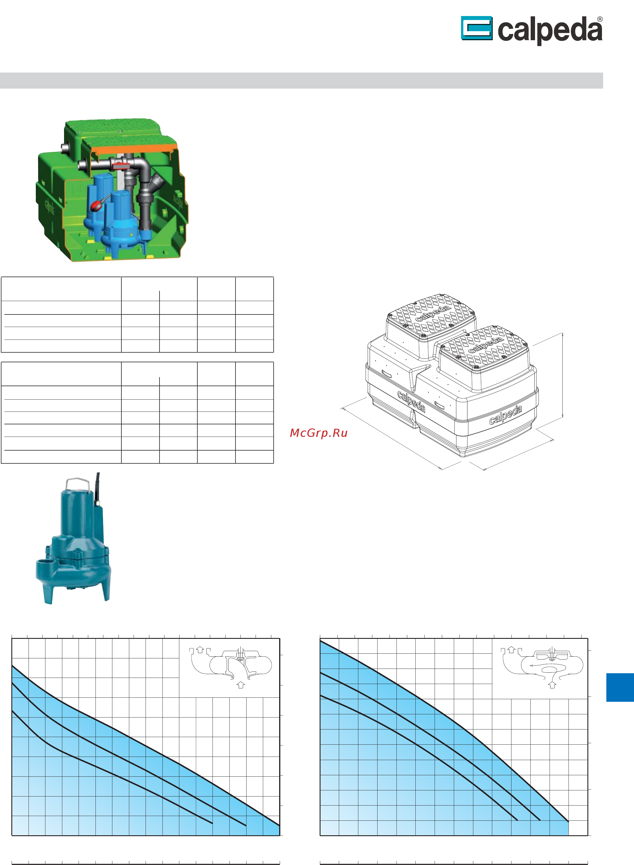 CALPEDA GEO 230-GQR 10-20 [19/22] Geo 500 geo 500