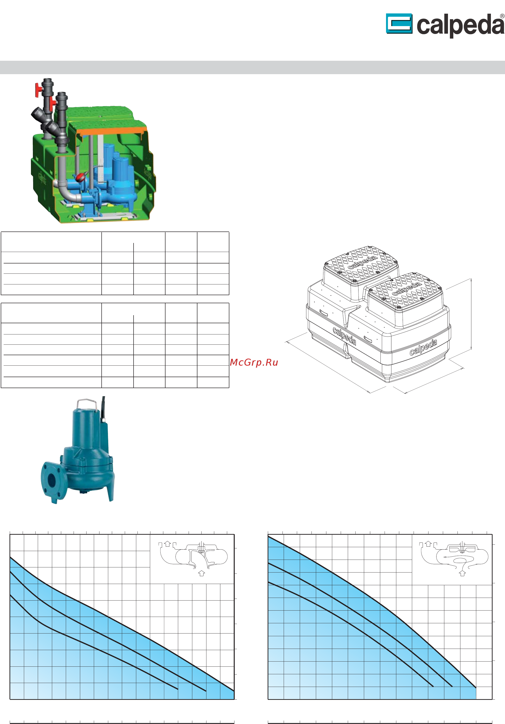 CALPEDA GEO 230-GQV 50-13 [20/22] Geo 500 geo 500