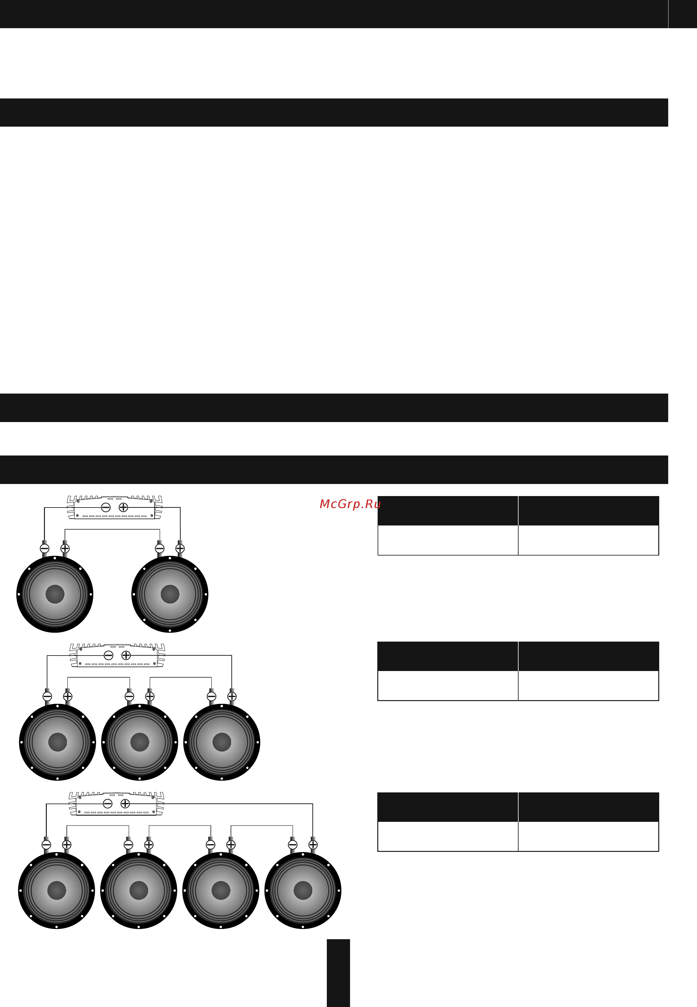 Deaf Bonce Apocalypse AP-P128NEO [8/12] Ом 16 ом