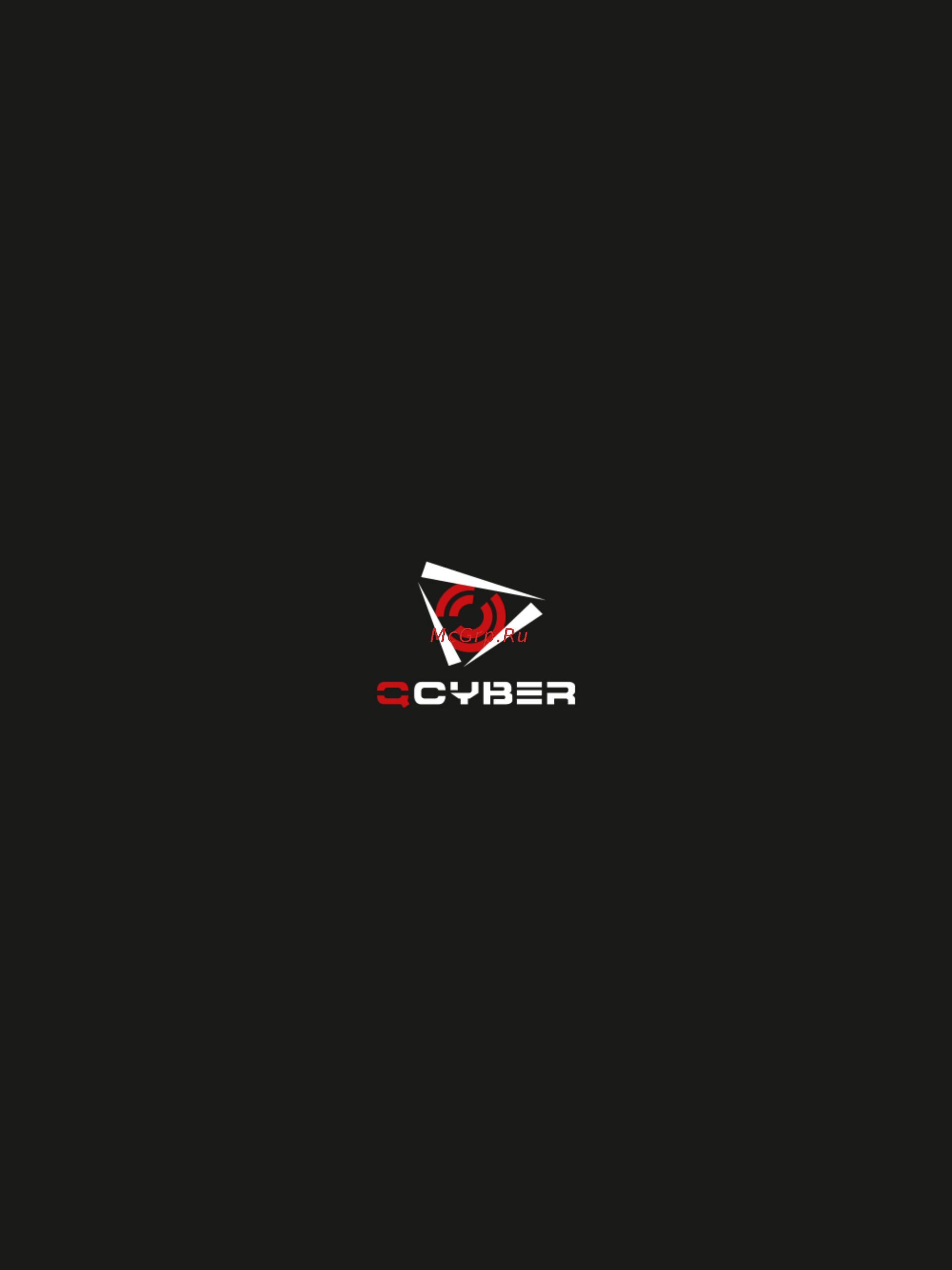 Qcyber SWAP Инструкция по эксплуатации онлайн [13/13] 384747
