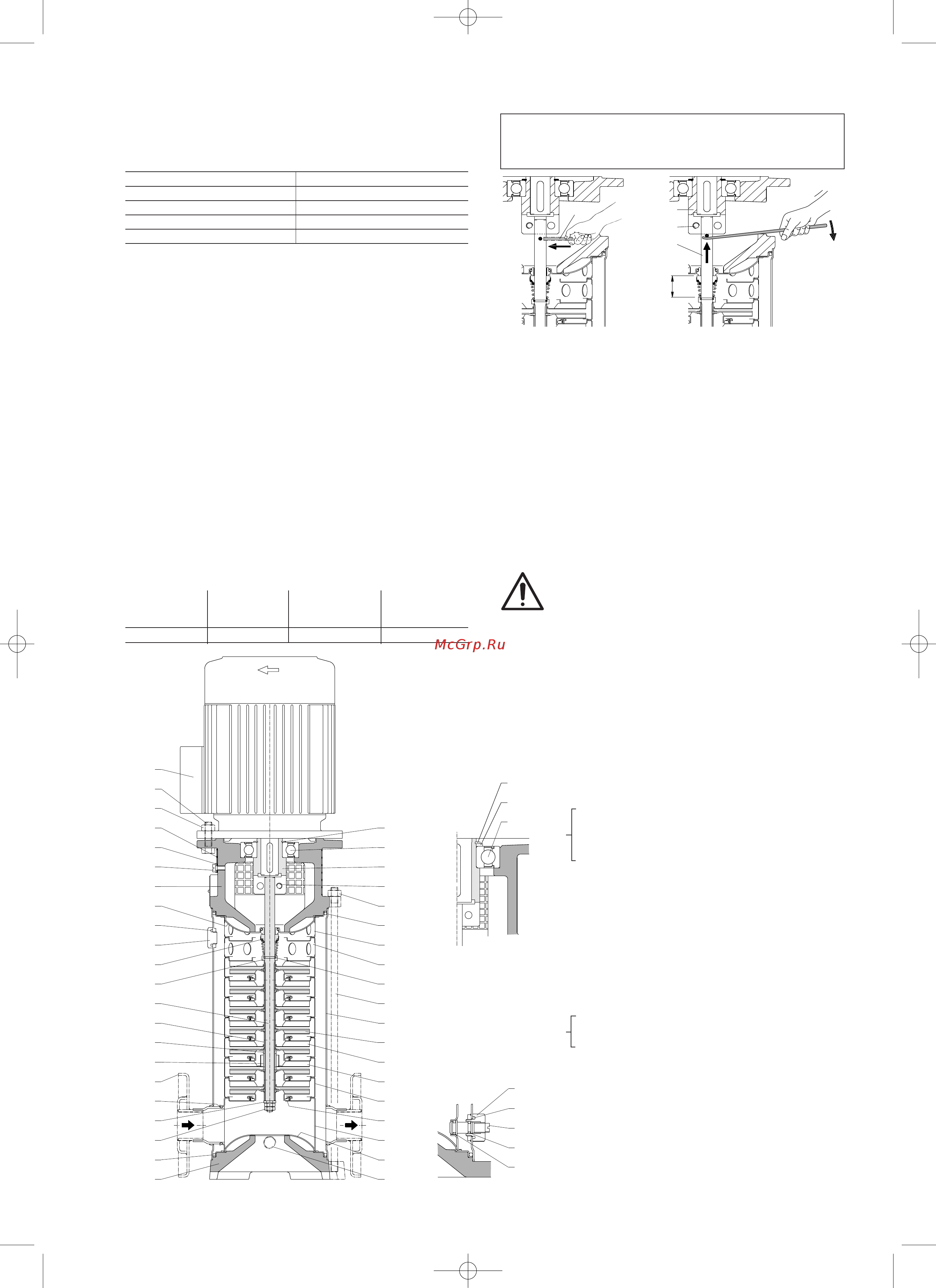 CALPEDA MXV 25-208/C [37/80] Запасные части