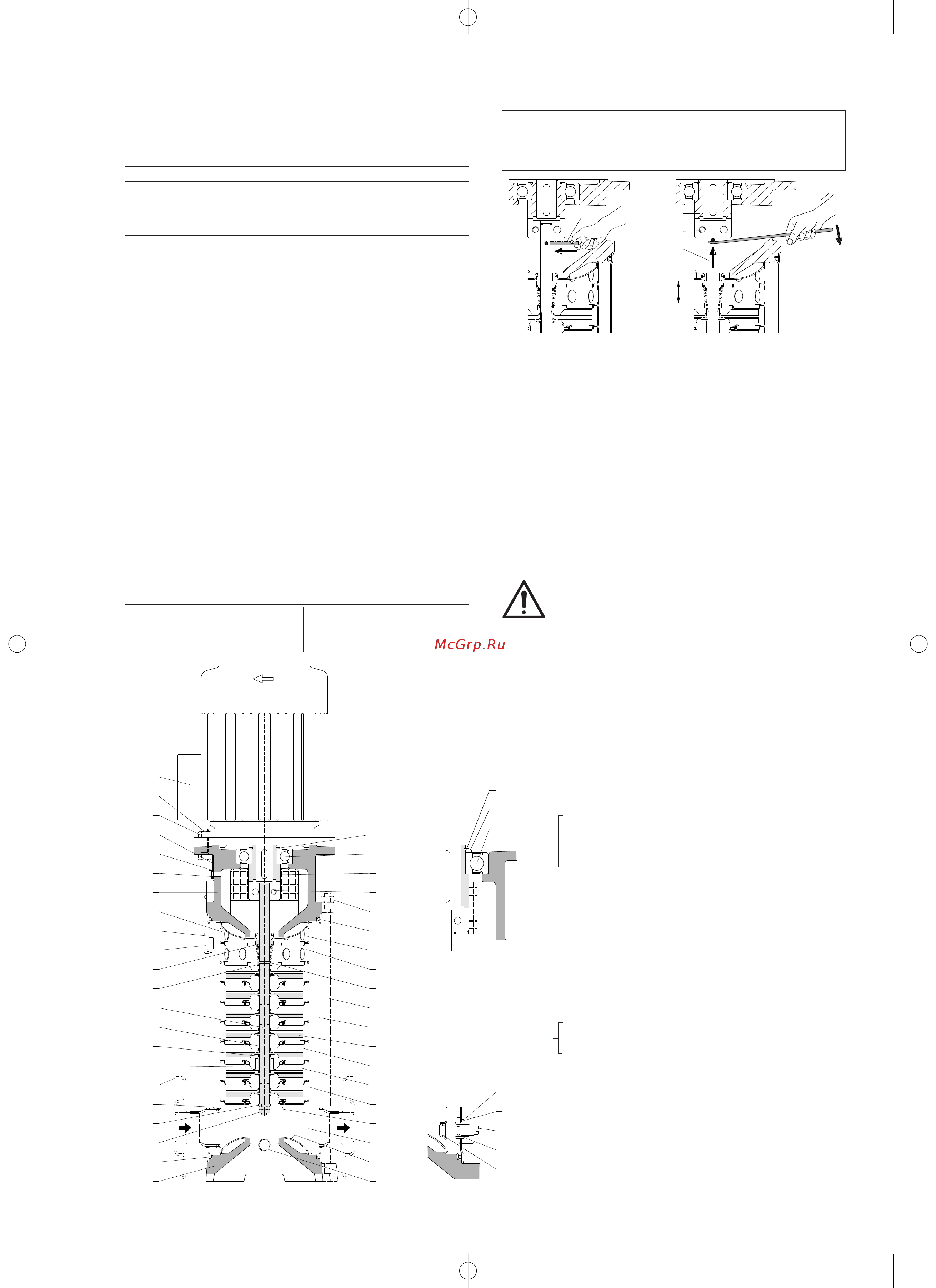 CALPEDA MXV 25-208/C [9/80] Remounting