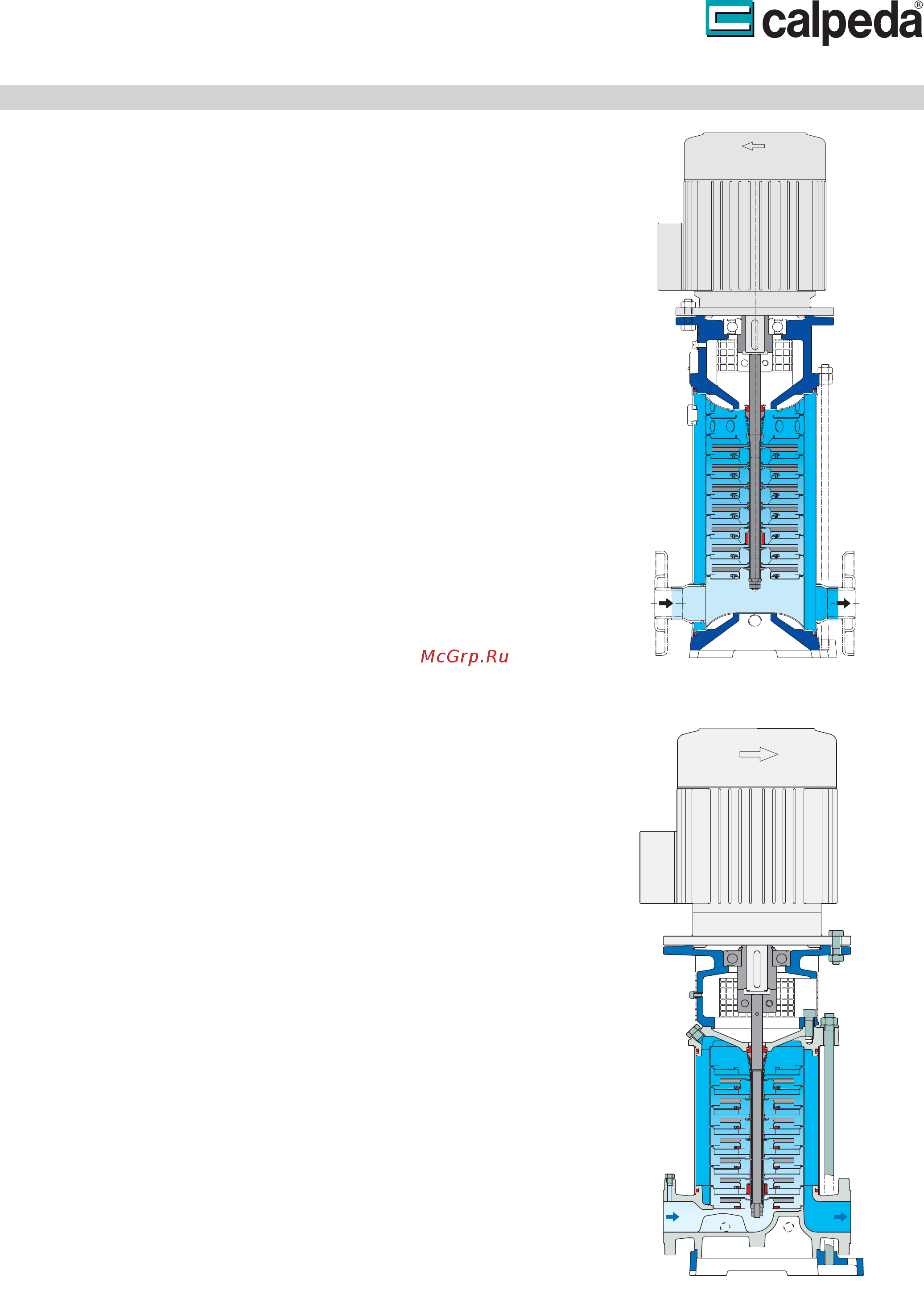 CALPEDA MXV 25-206/C [20/24] Са1рес1а