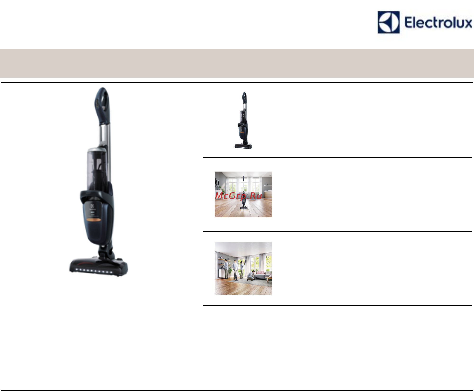 Electrolux PF91-6IBM Технические характеристики онлайн