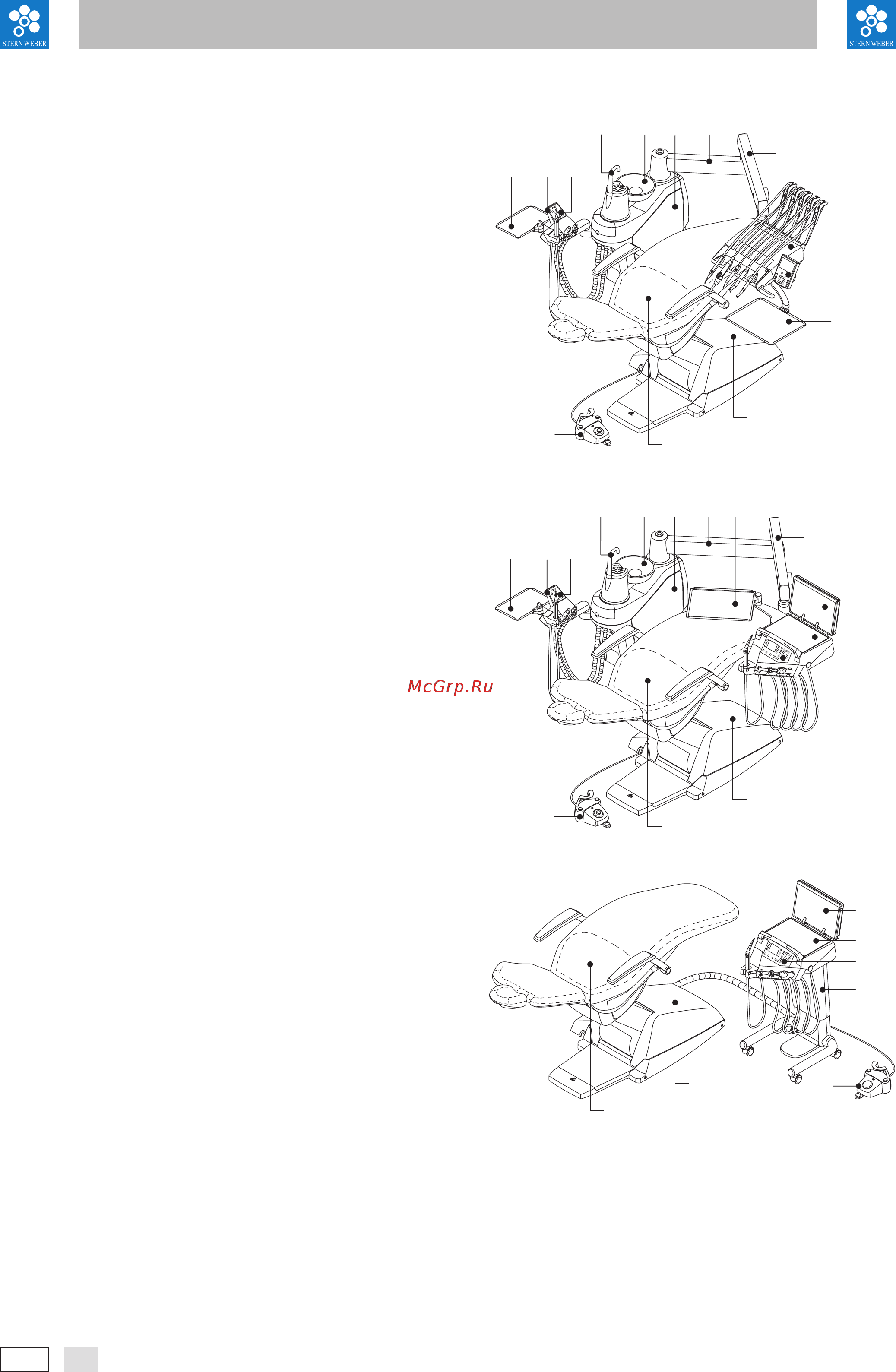 Stern Weber S220 TR Side Delivery [10/85] S200 s220 tr