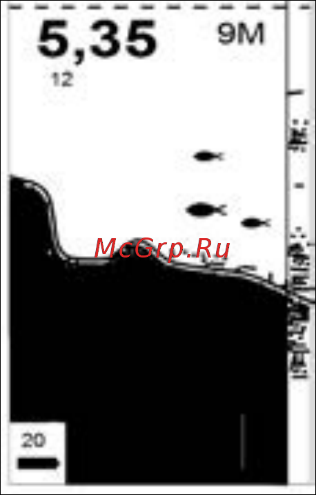 Практик 6М [8/21] Режим fish id