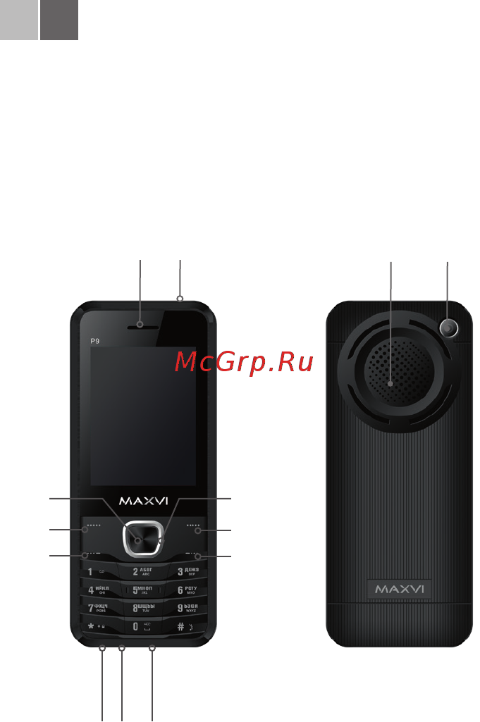 Maxvi P9 [2/50] Основные элементы