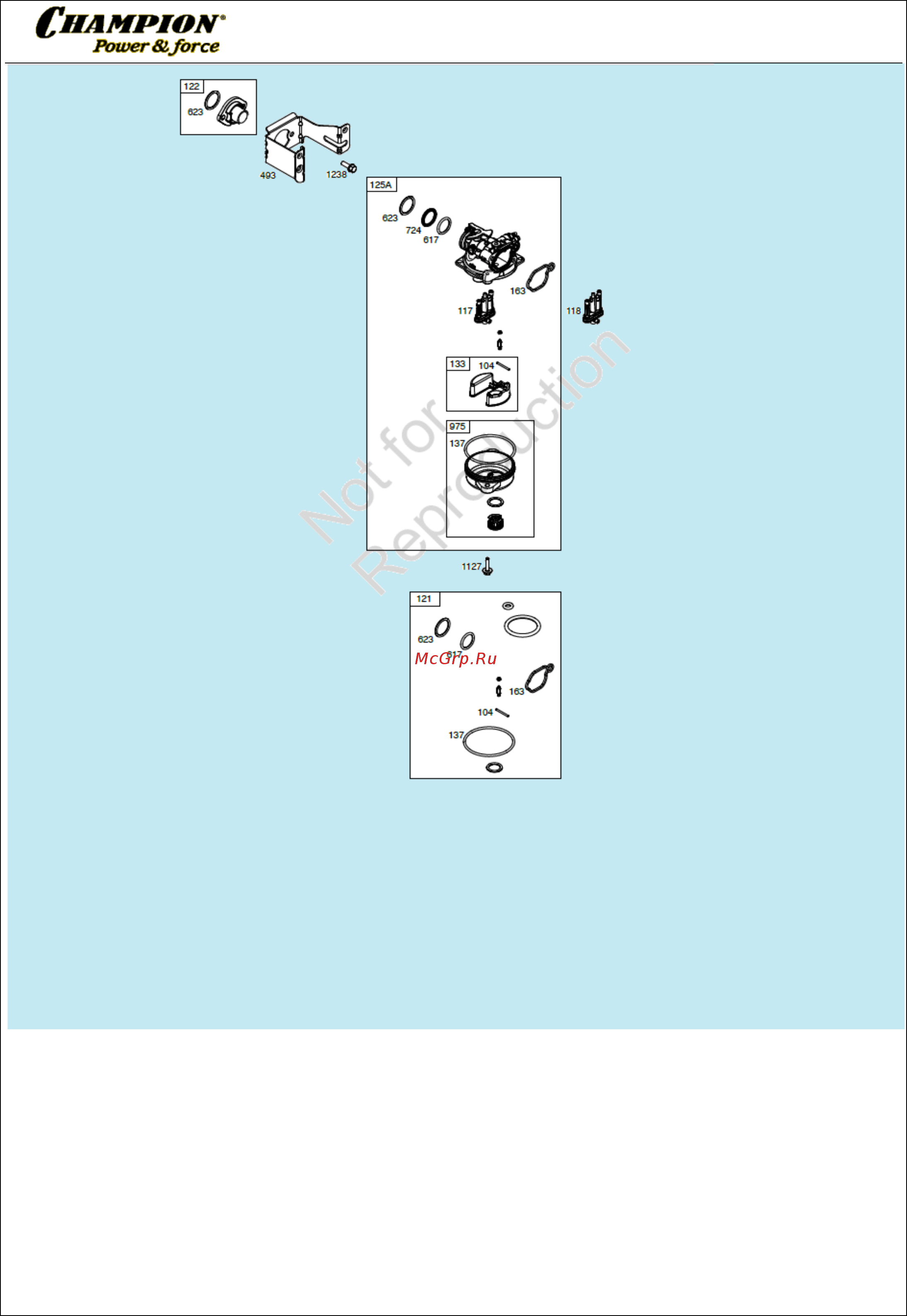 Champion LM5127BS [5/11] Иллюстрированный каталог запасных часте