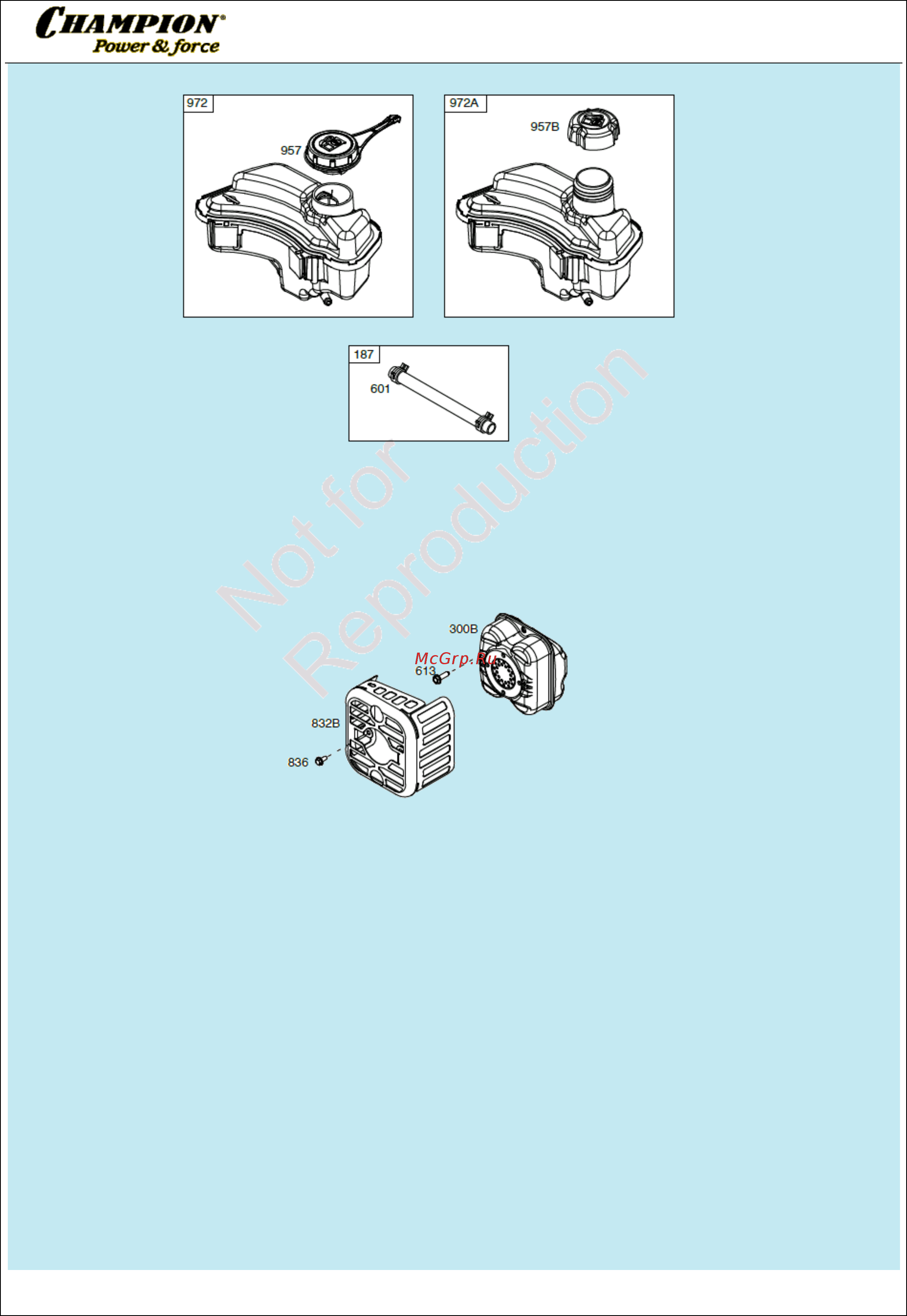 Champion LM5127BS [6/11] Иллюстрированный каталог запасных часте
