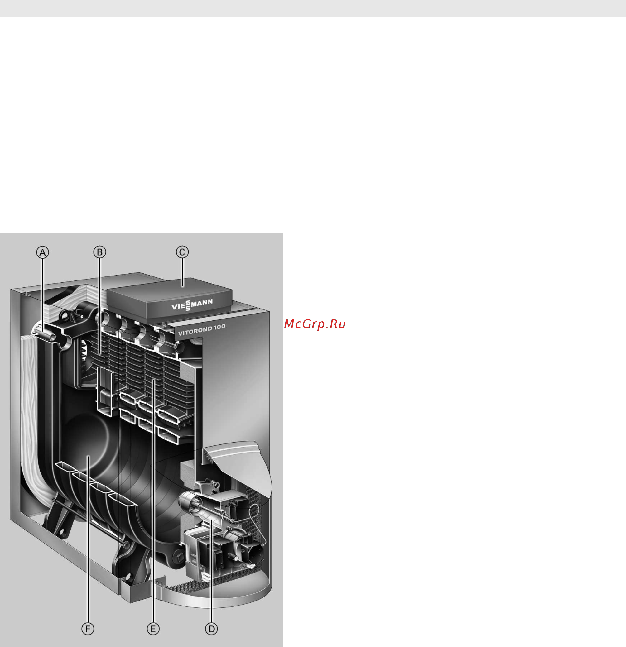 Viessmann Vitorond 100 (напольн./комб.) 18-63 кВт [2/8] Viesmann